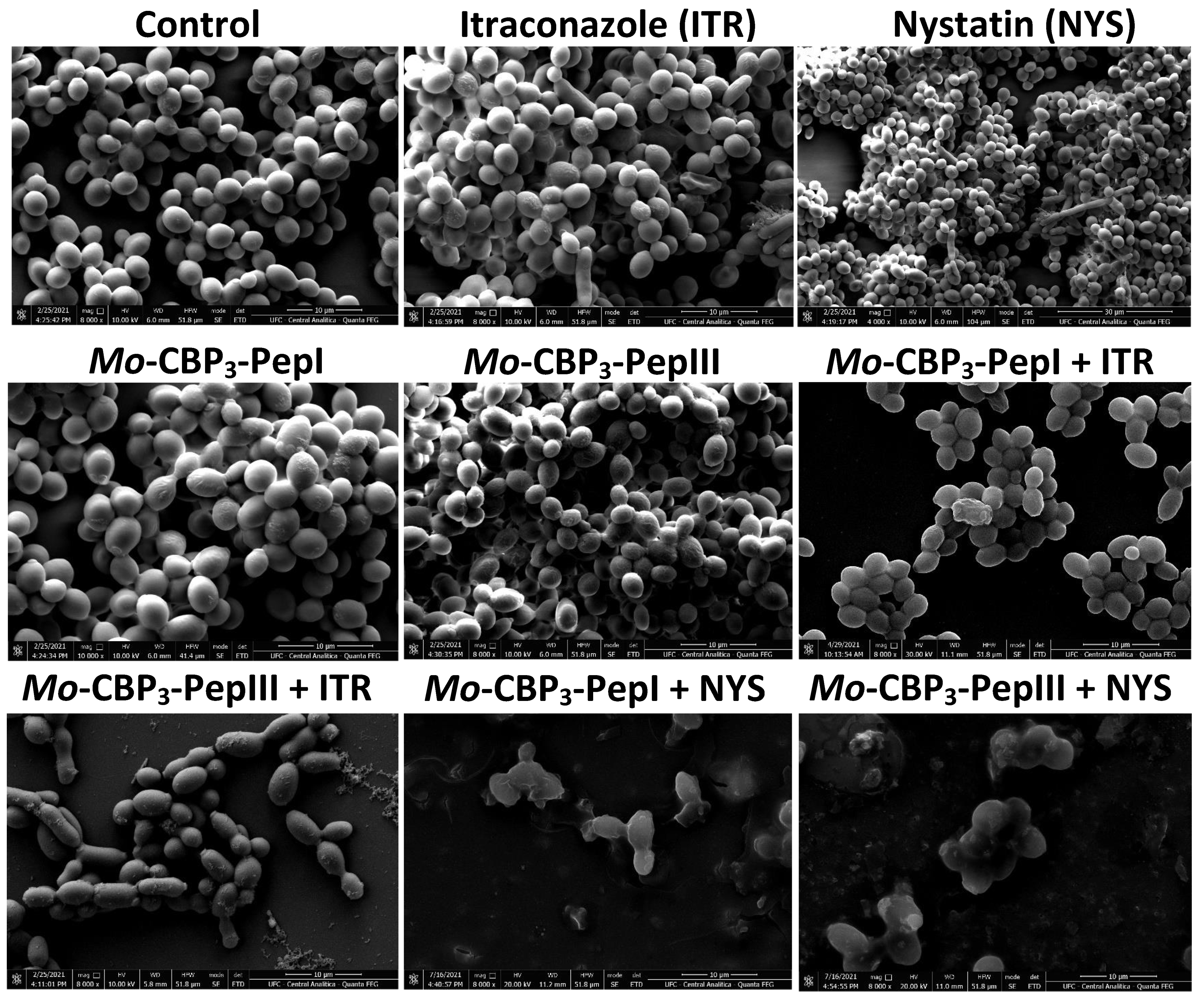 Antibiotics 11 00553 g002