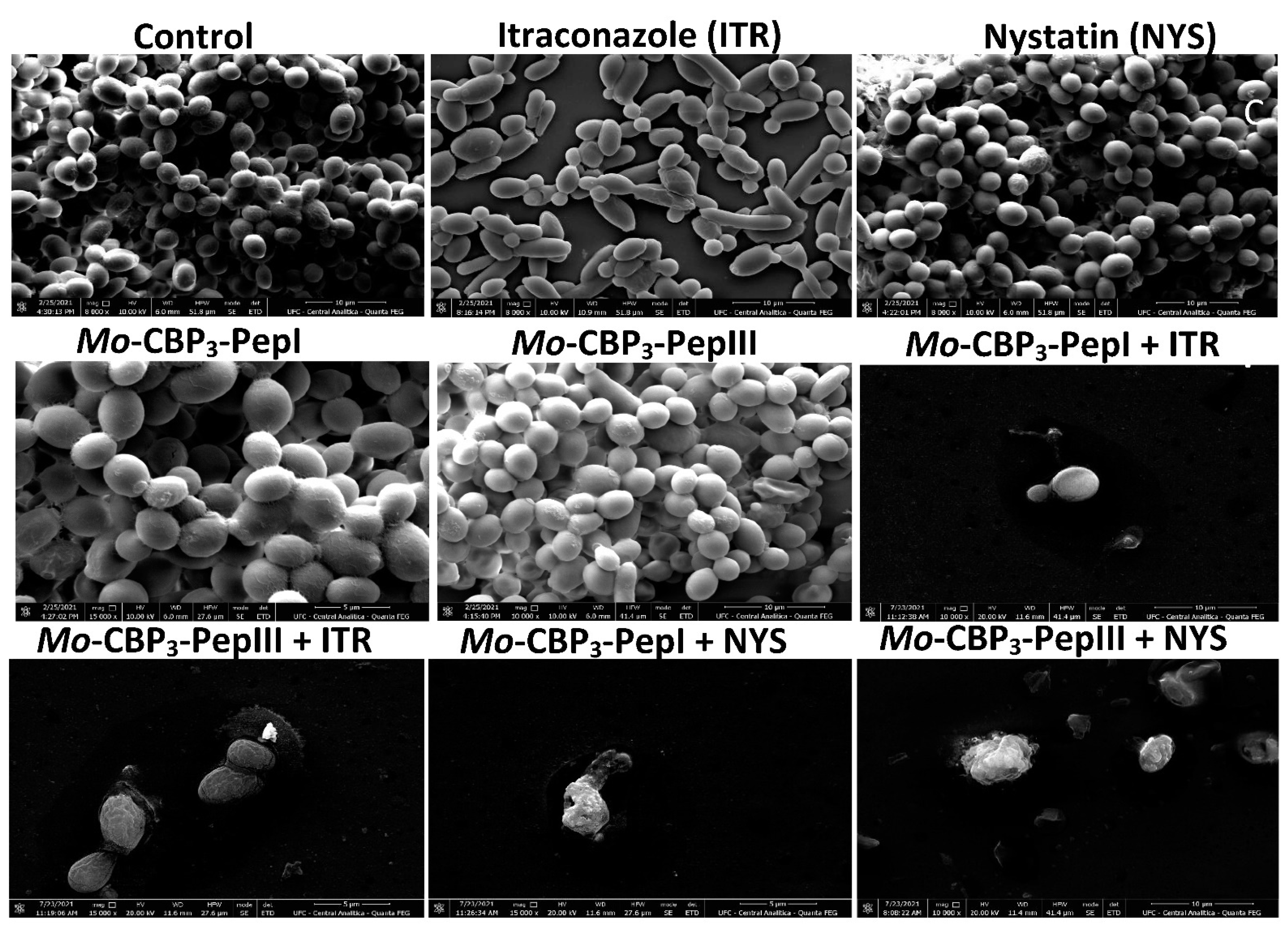 Antibiotics 11 00553 g003