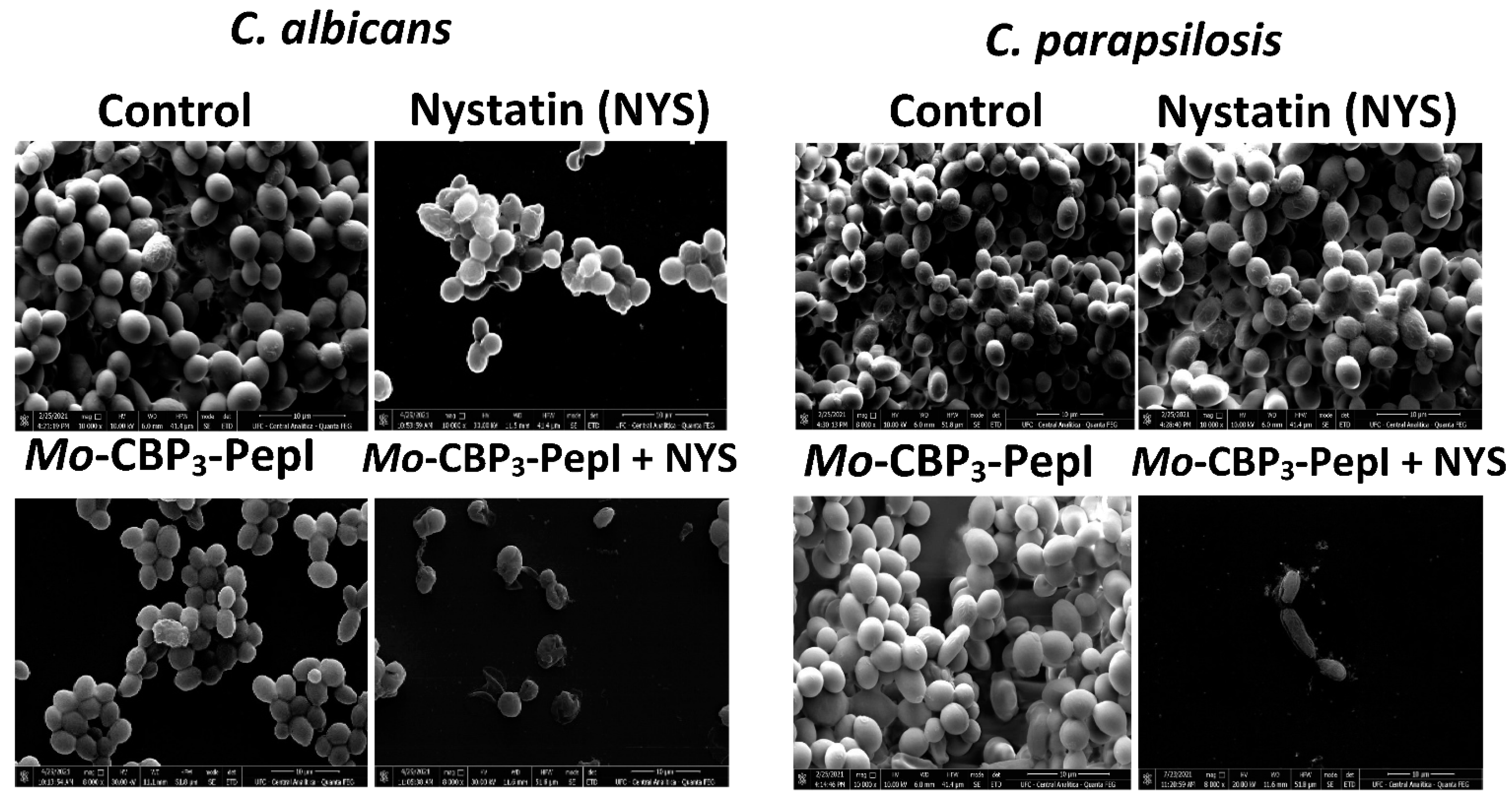 Antibiotics 11 00553 g004