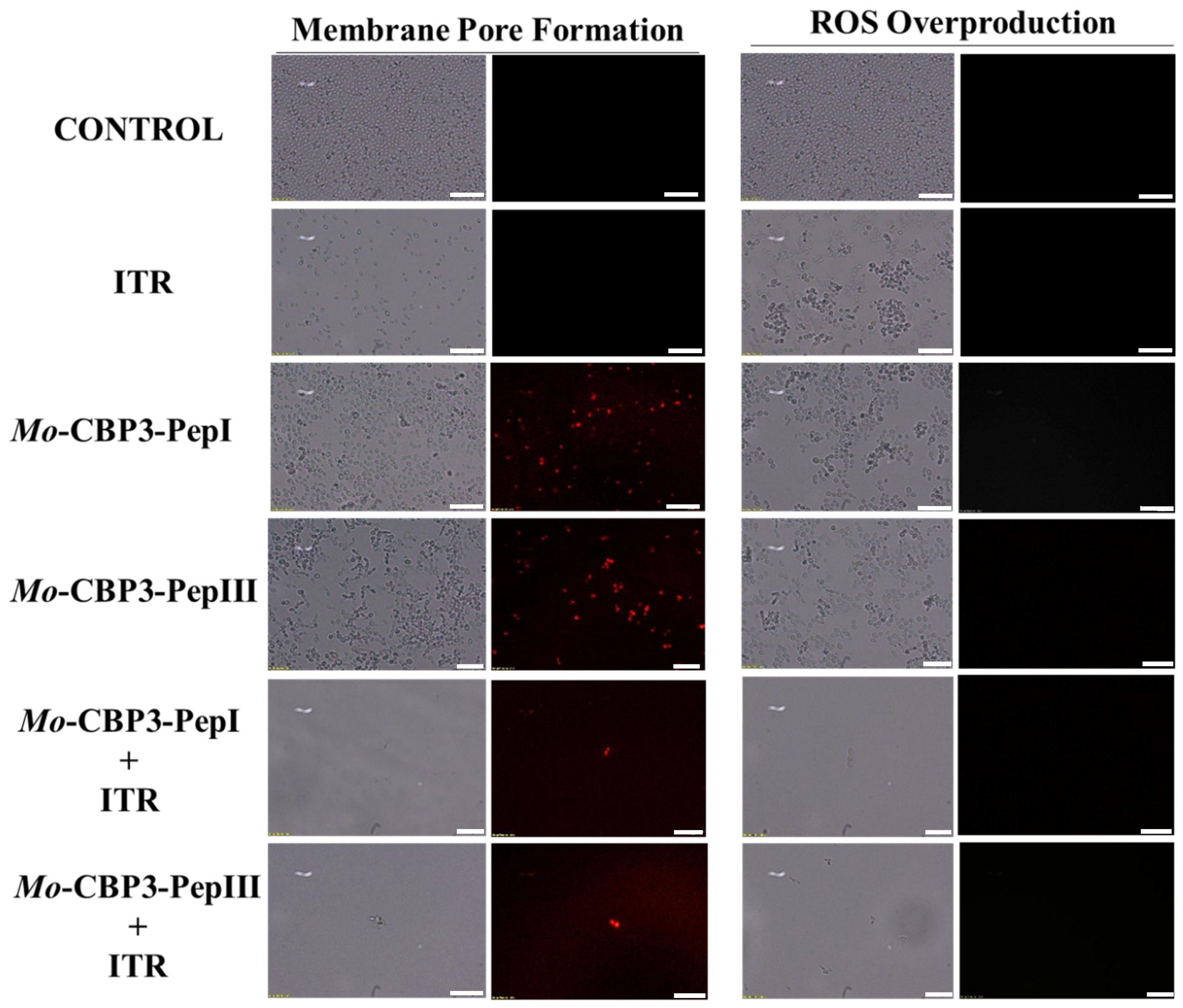 Antibiotics 11 00553 g006