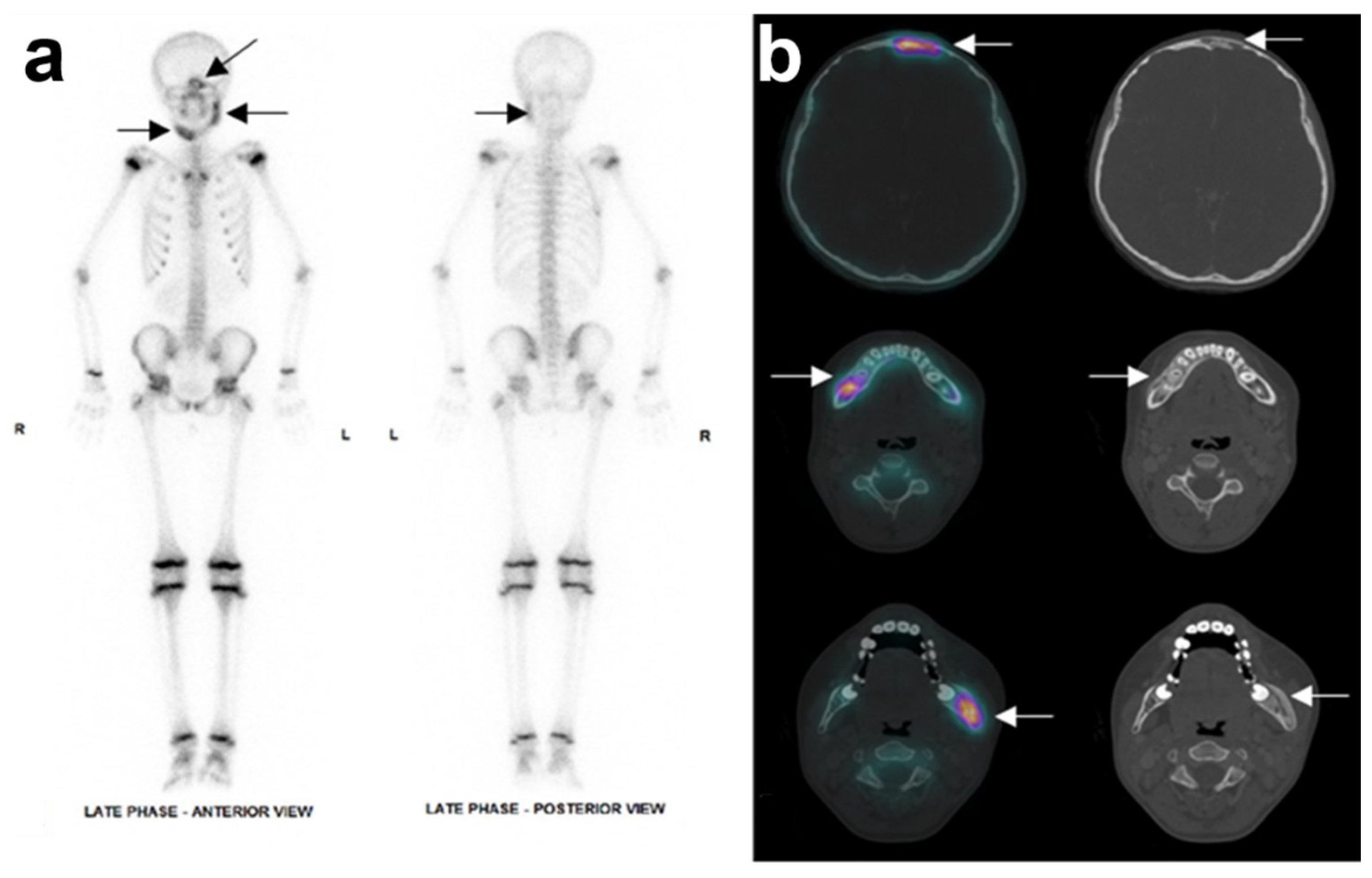 Antibiotics 11 00568 g003