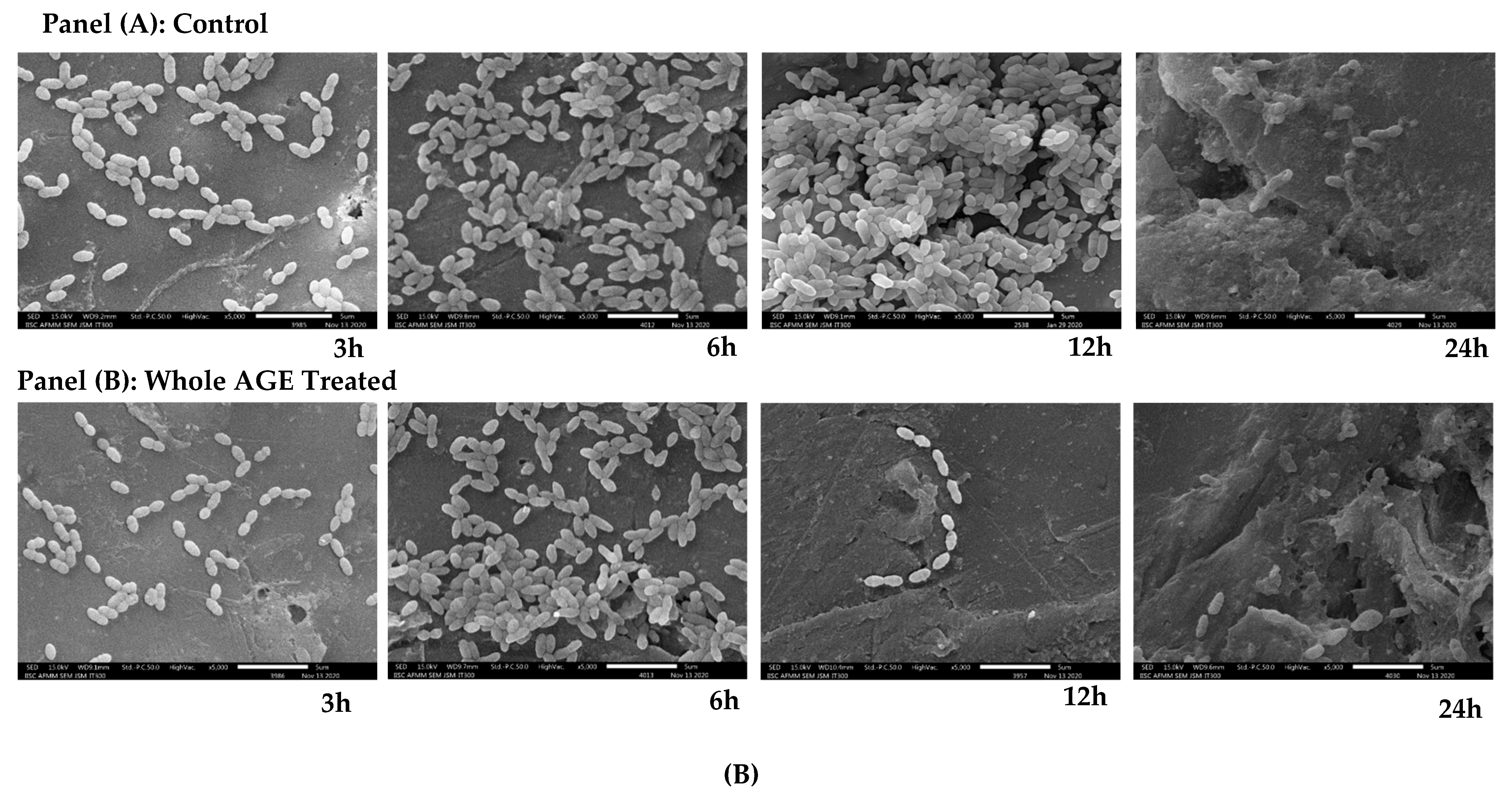 Antibiotics 11 00573 g005b Antibiotics 11 00573 g005b