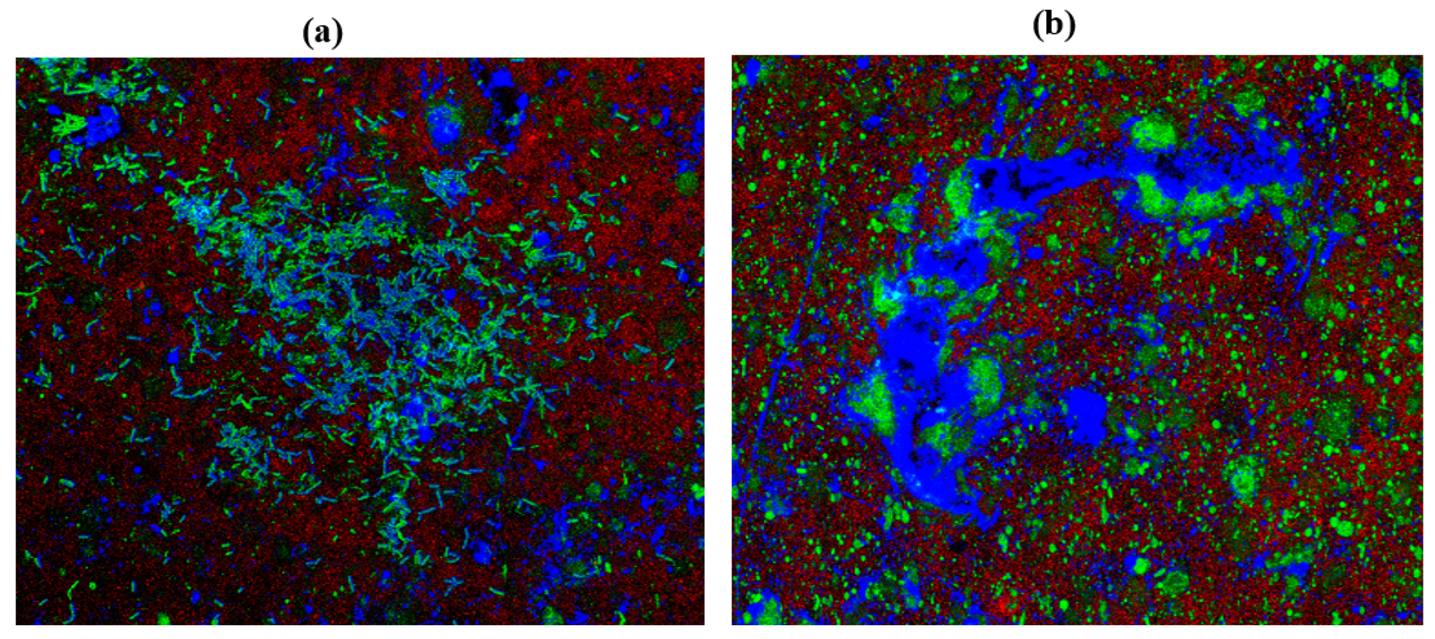 Antibiotics 11 00573 g006 Antibiotics 11 00573 g006