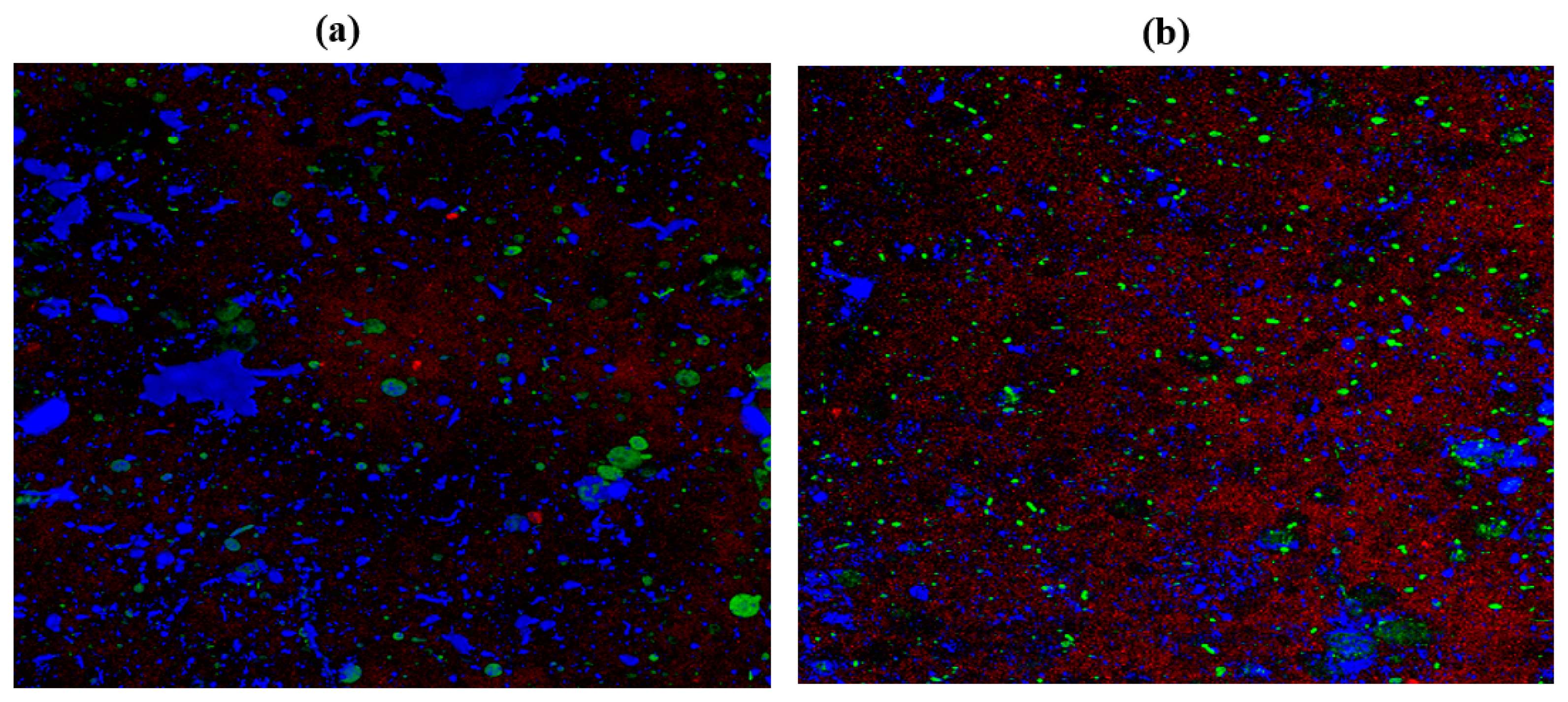 Antibiotics 11 00573 g007 Antibiotics 11 00573 g007