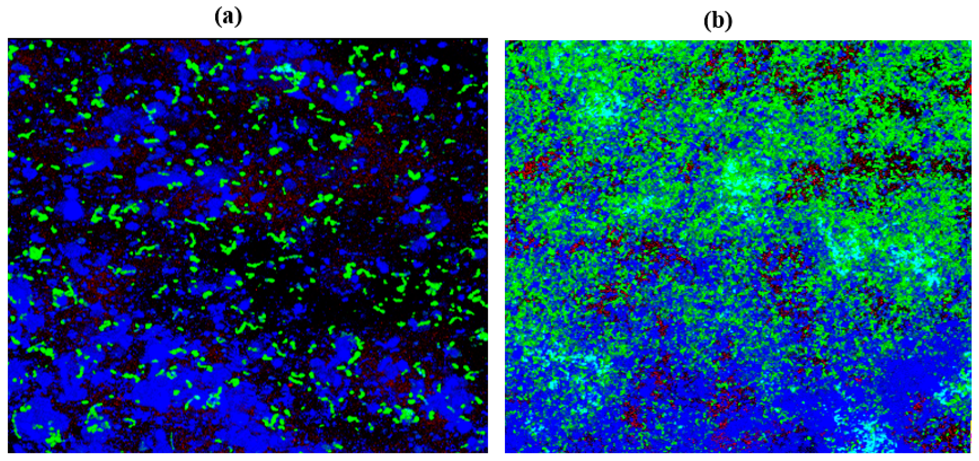 Antibiotics 11 00573 g008 Antibiotics 11 00573 g008