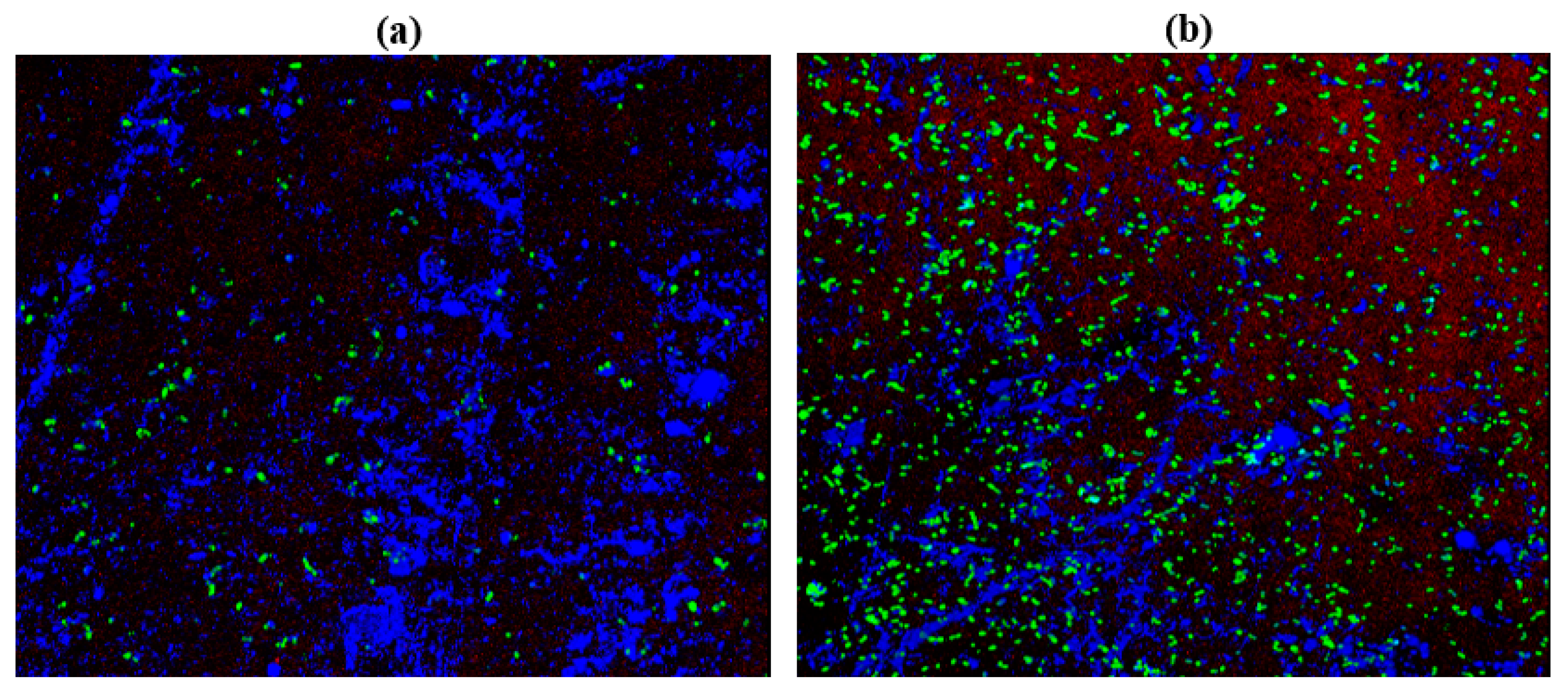 Antibiotics 11 00573 g011 Antibiotics 11 00573 g011