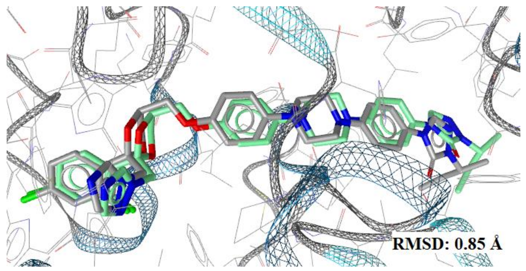 Antibiotics 11 00588 g008