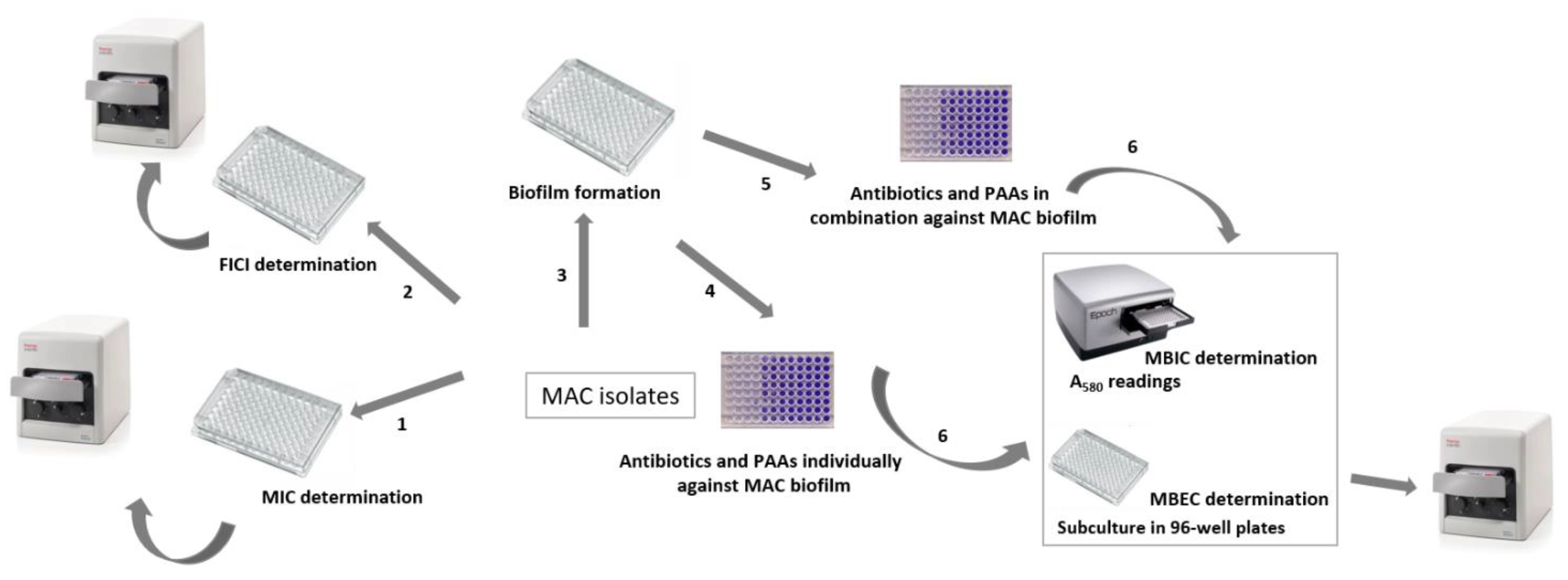 Antibiotics 11 00589 g001