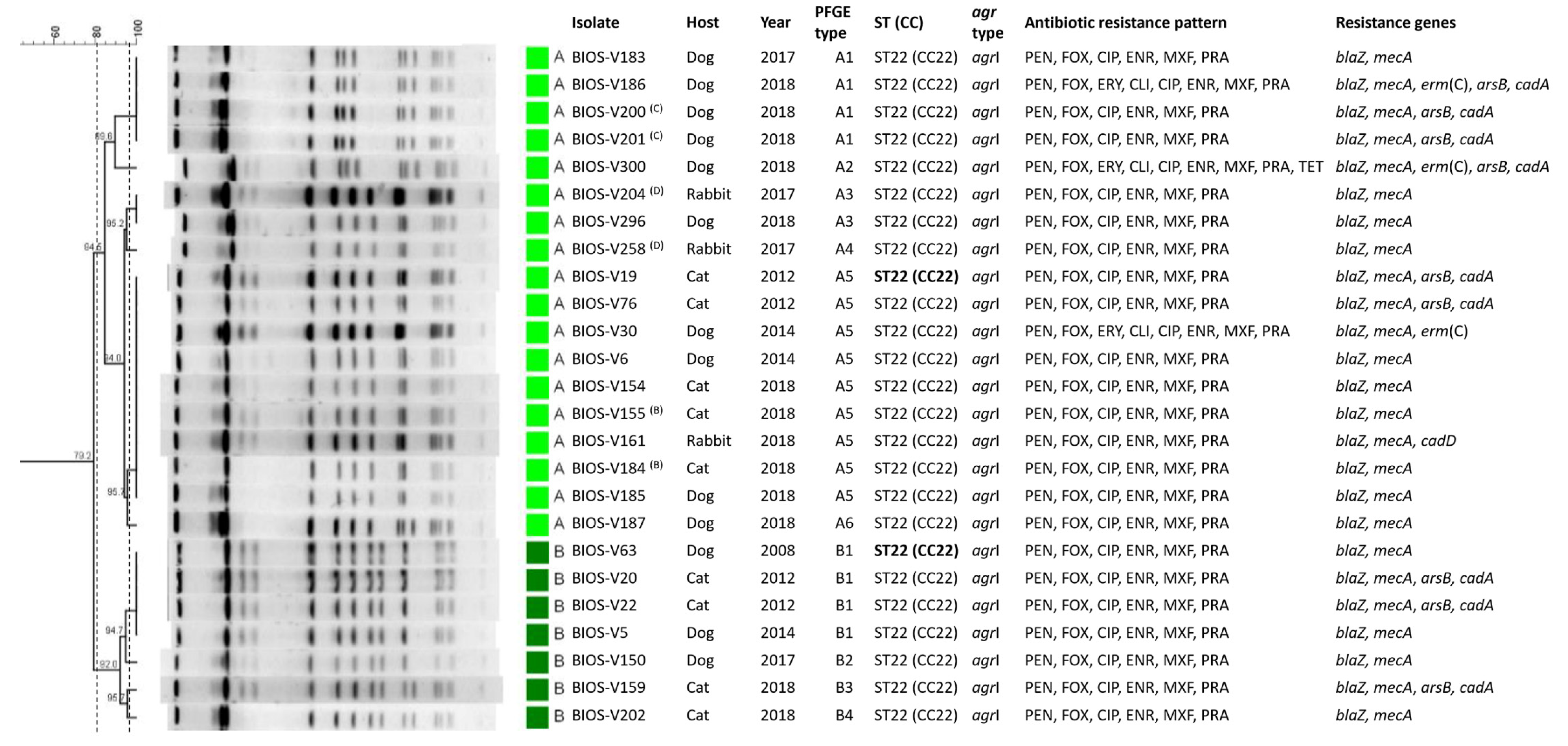 Antibiotics 11 00599 g002a Antibiotics 11 00599 g002a
