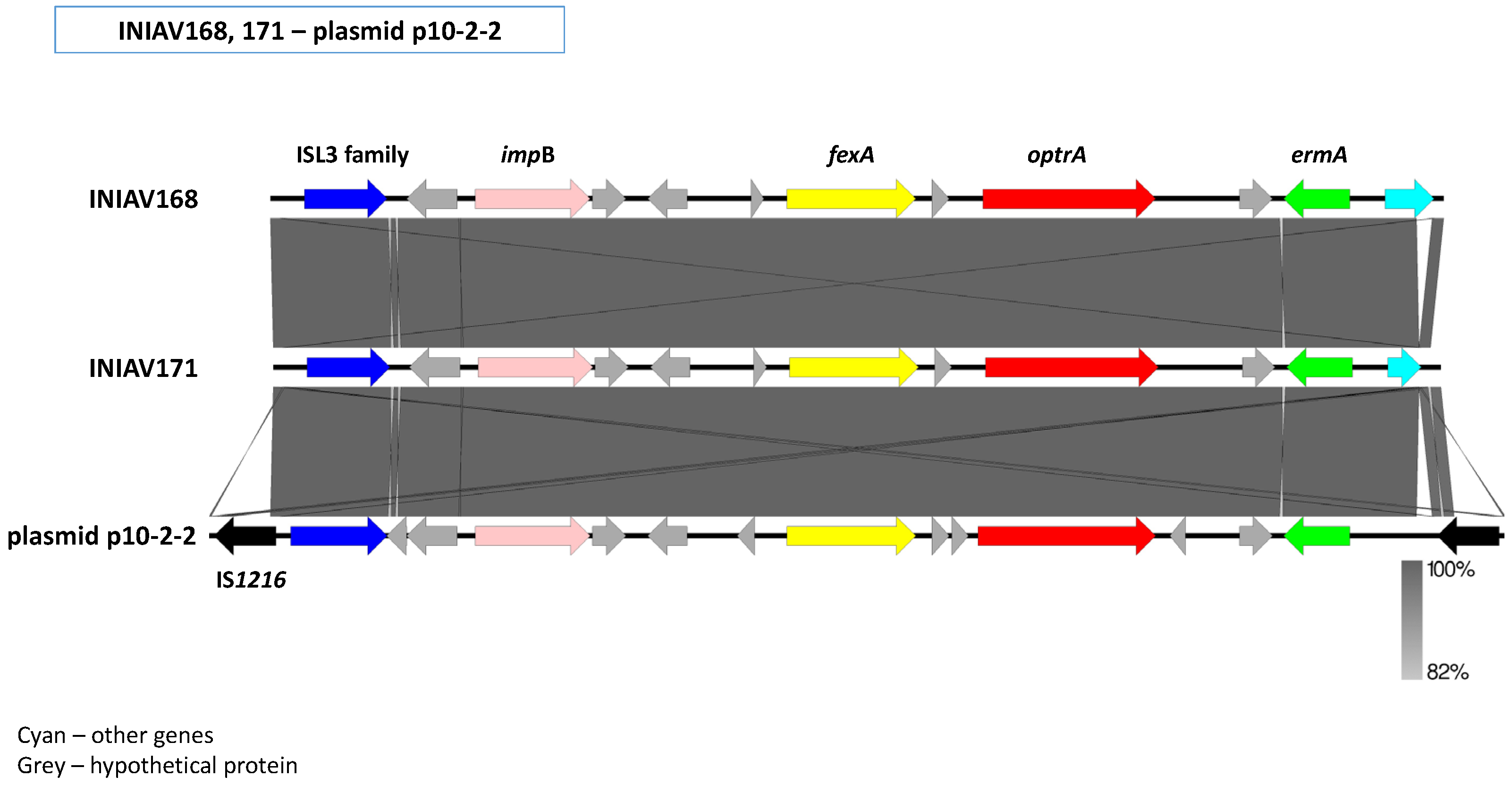 Antibiotics 11 00615 g004