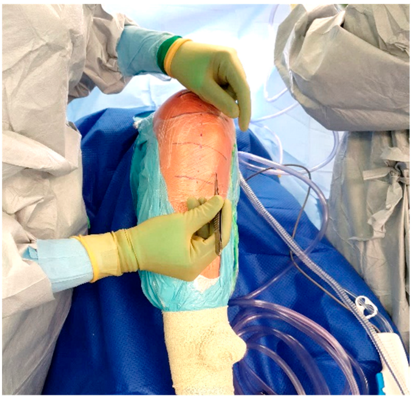 Antibiotics 11 00634 g003