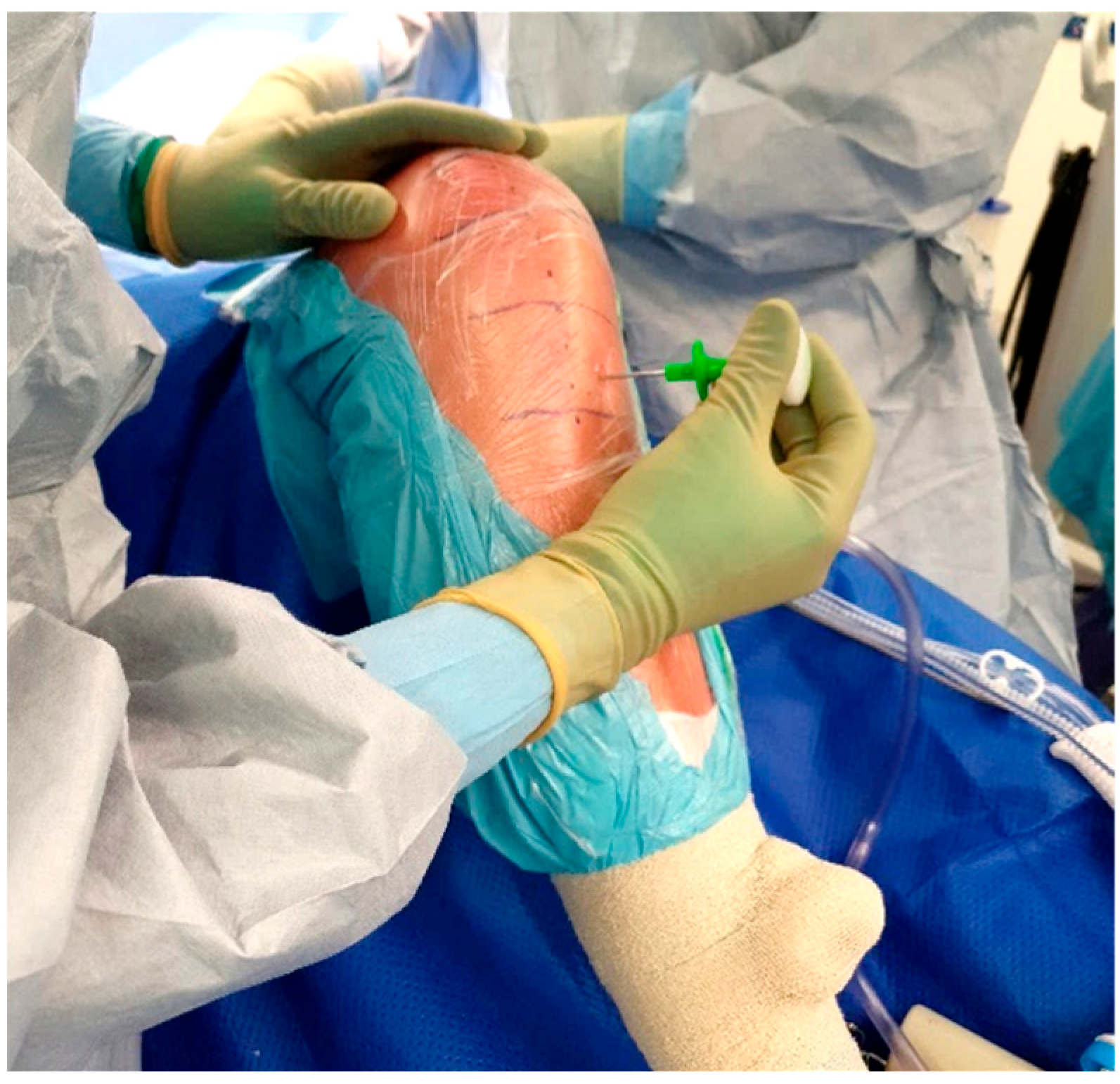 Antibiotics 11 00634 g004