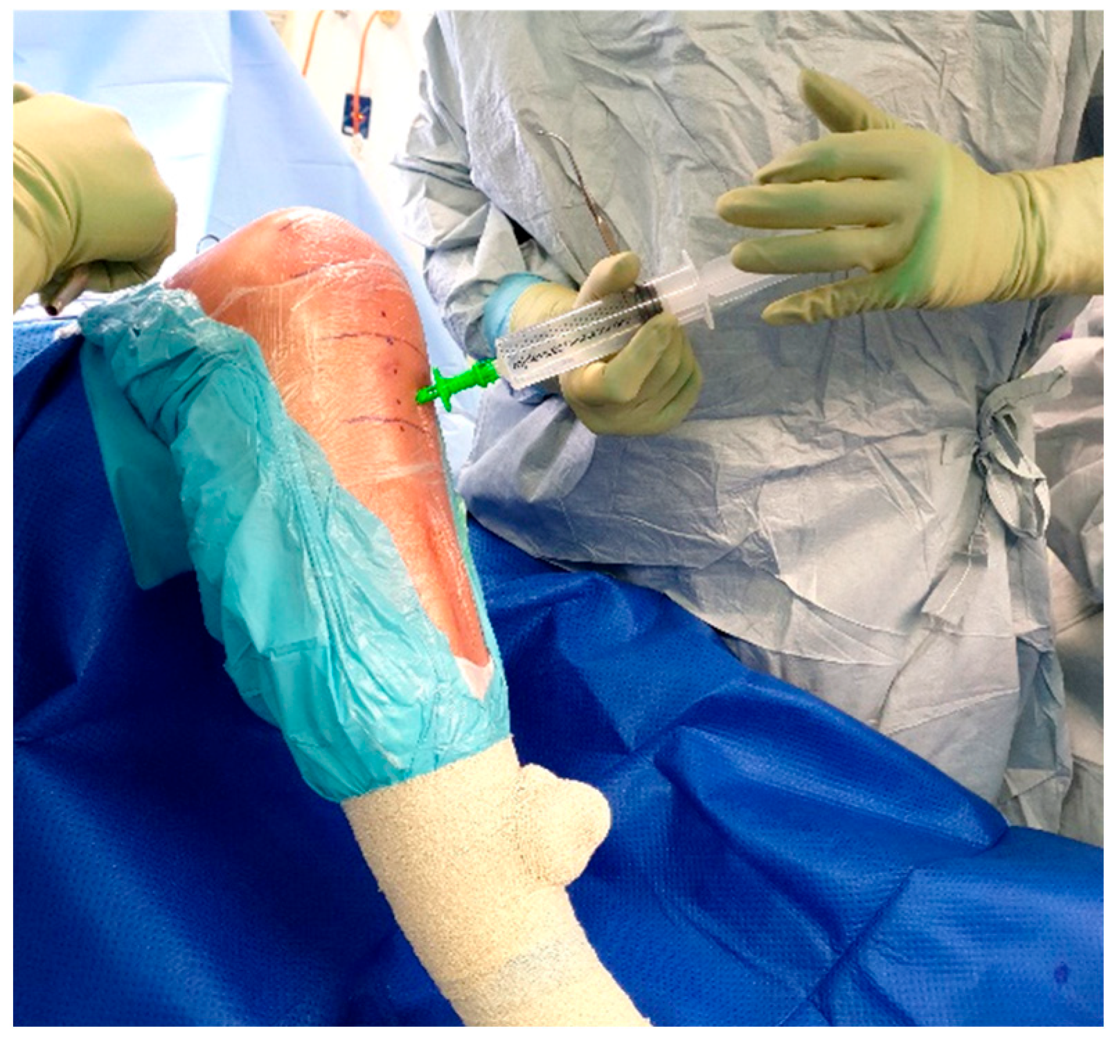 Antibiotics 11 00634 g005