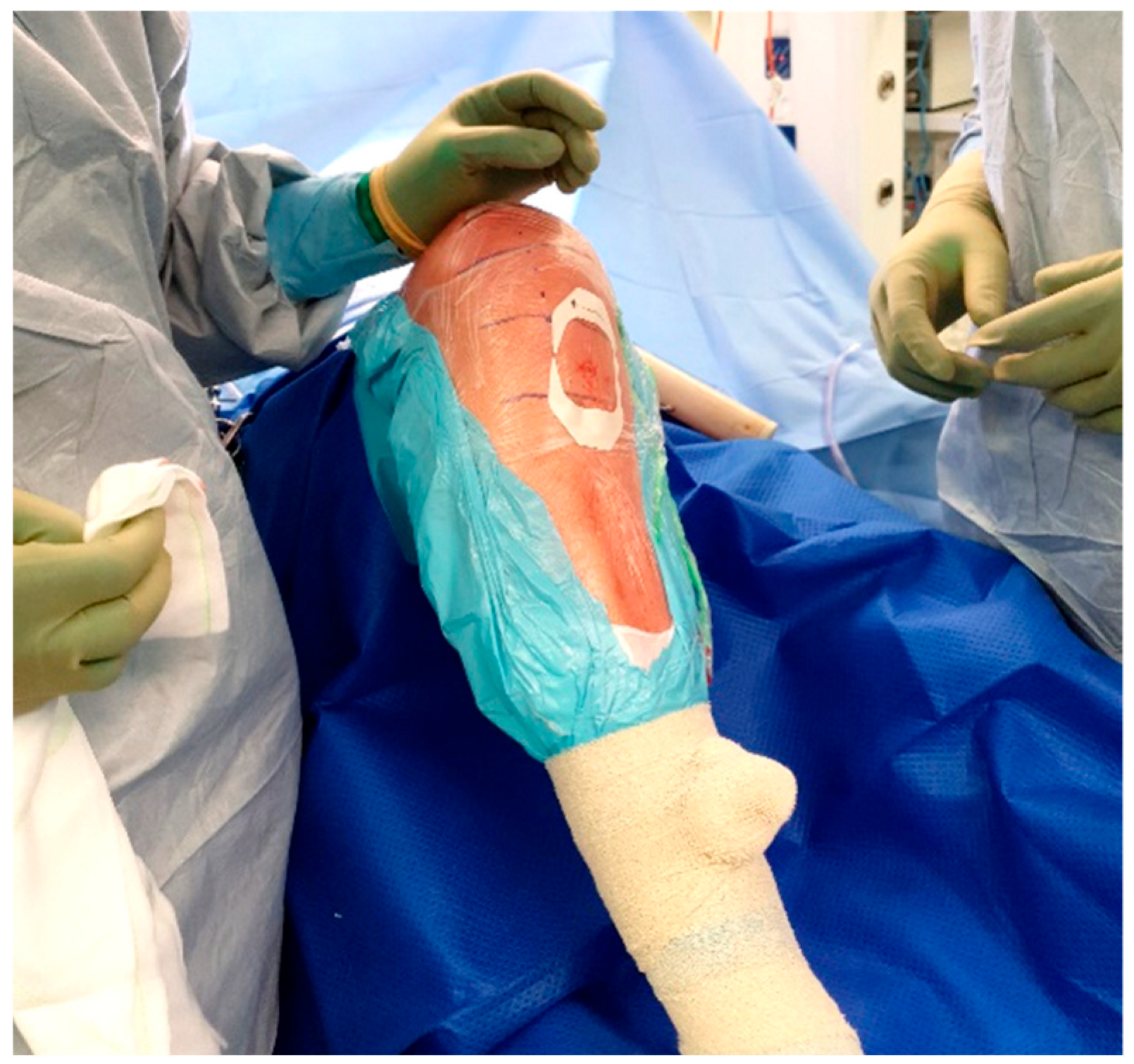 Antibiotics 11 00634 g006