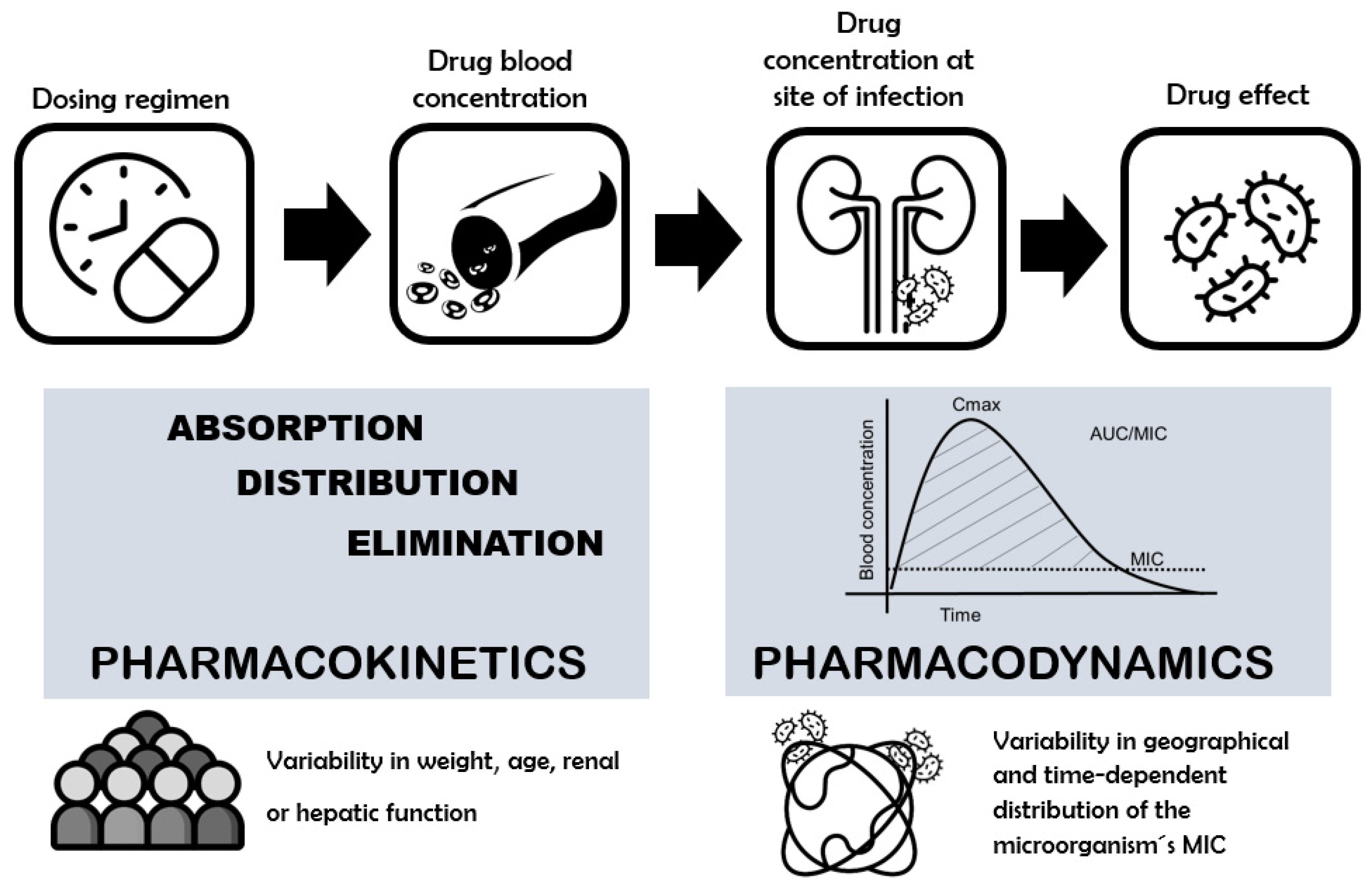 Antibiotics 11 00641 g001 Antibiotics 11 00641 g001