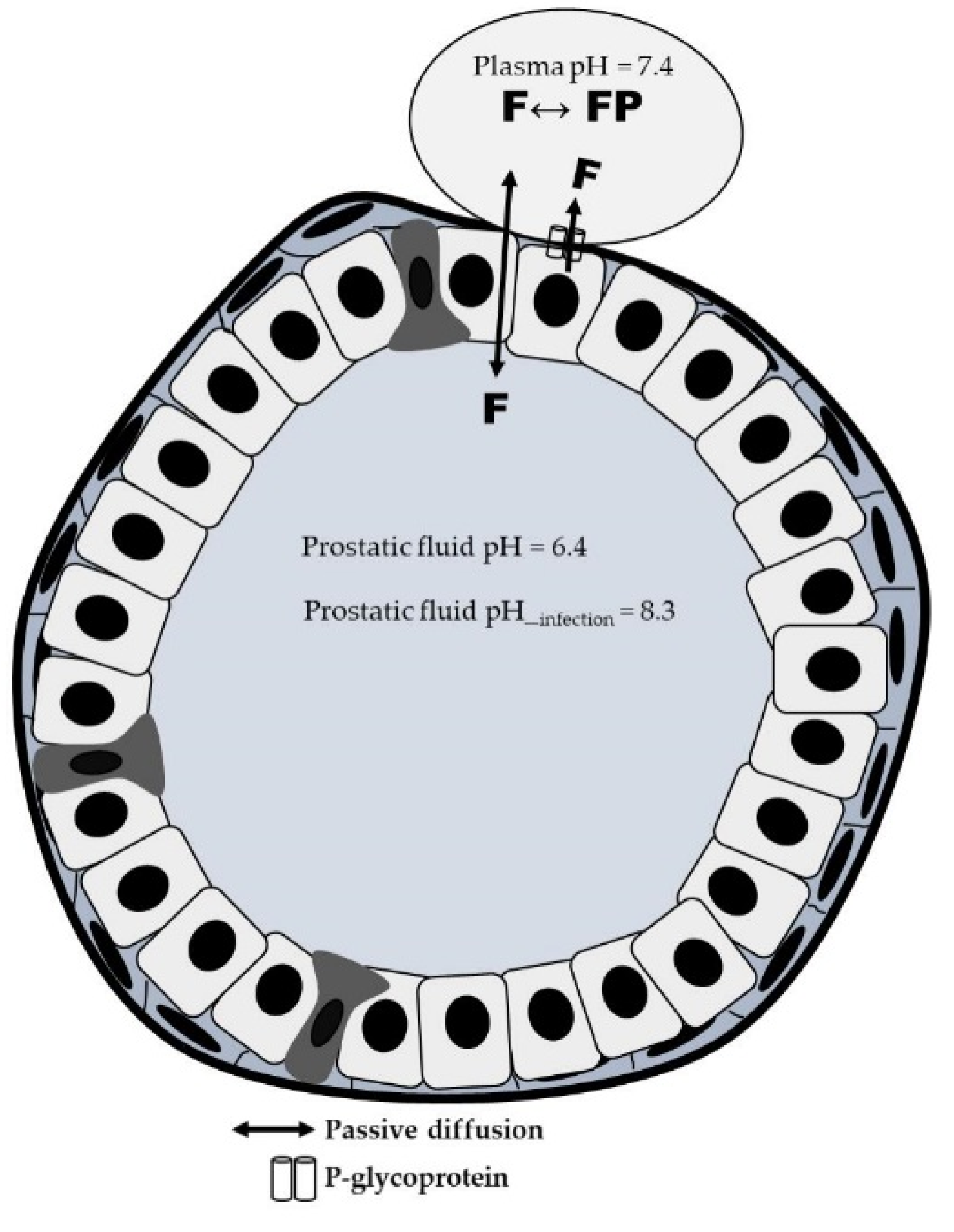 Antibiotics 11 00641 g002 Antibiotics 11 00641 g002
