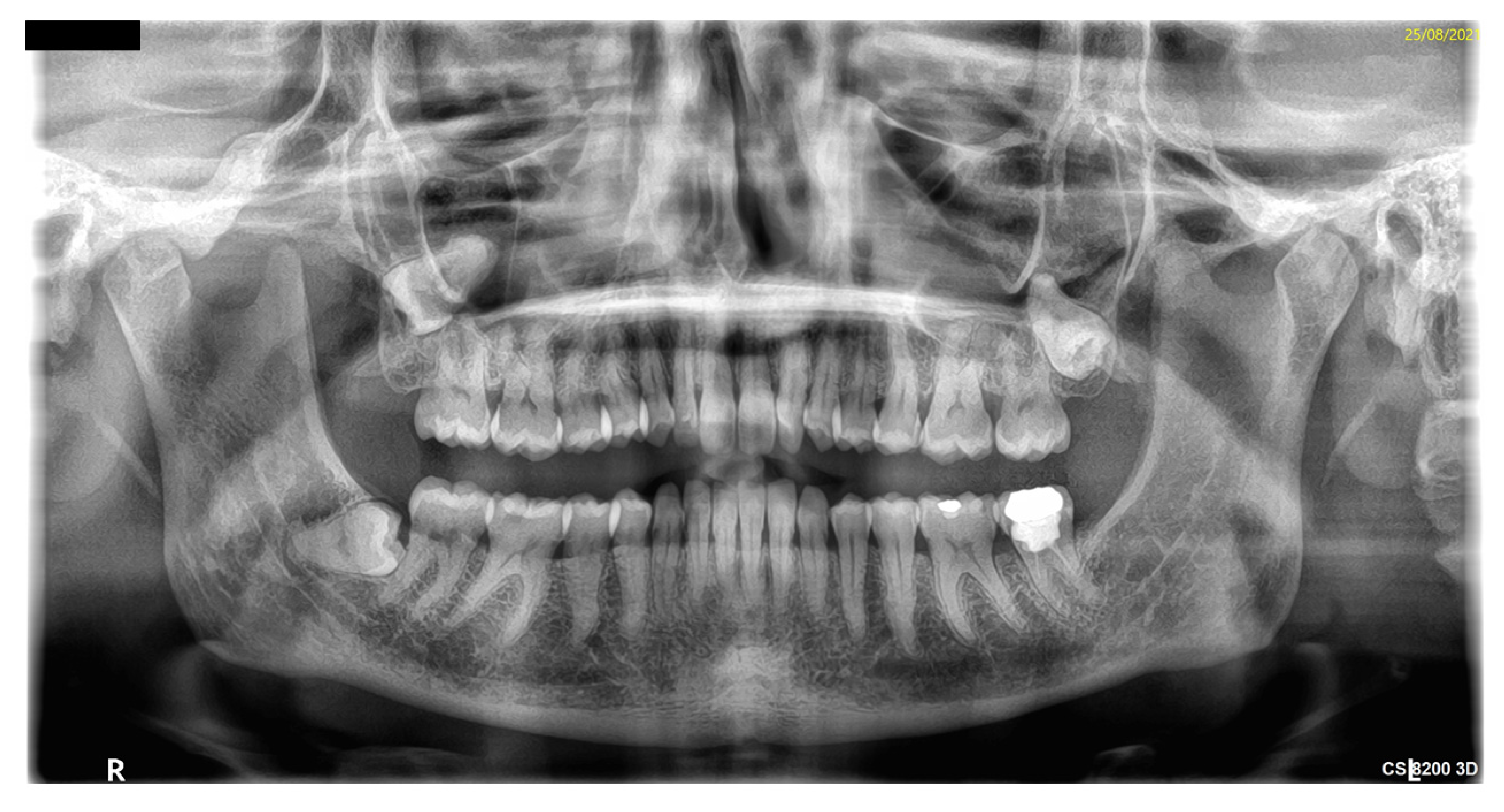 Antibiotics 11 00658 g001