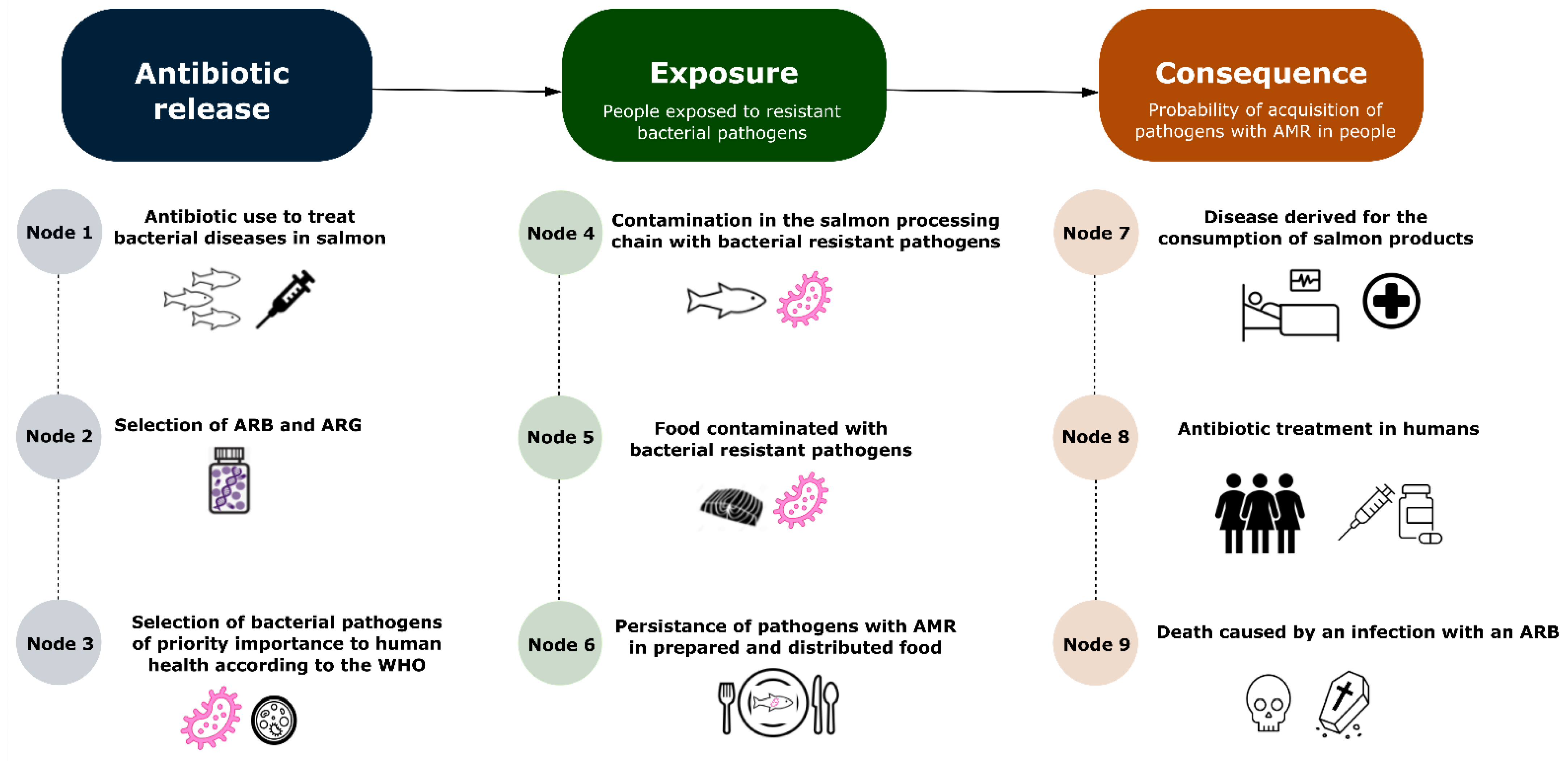Antibiotics 11 00662 g001