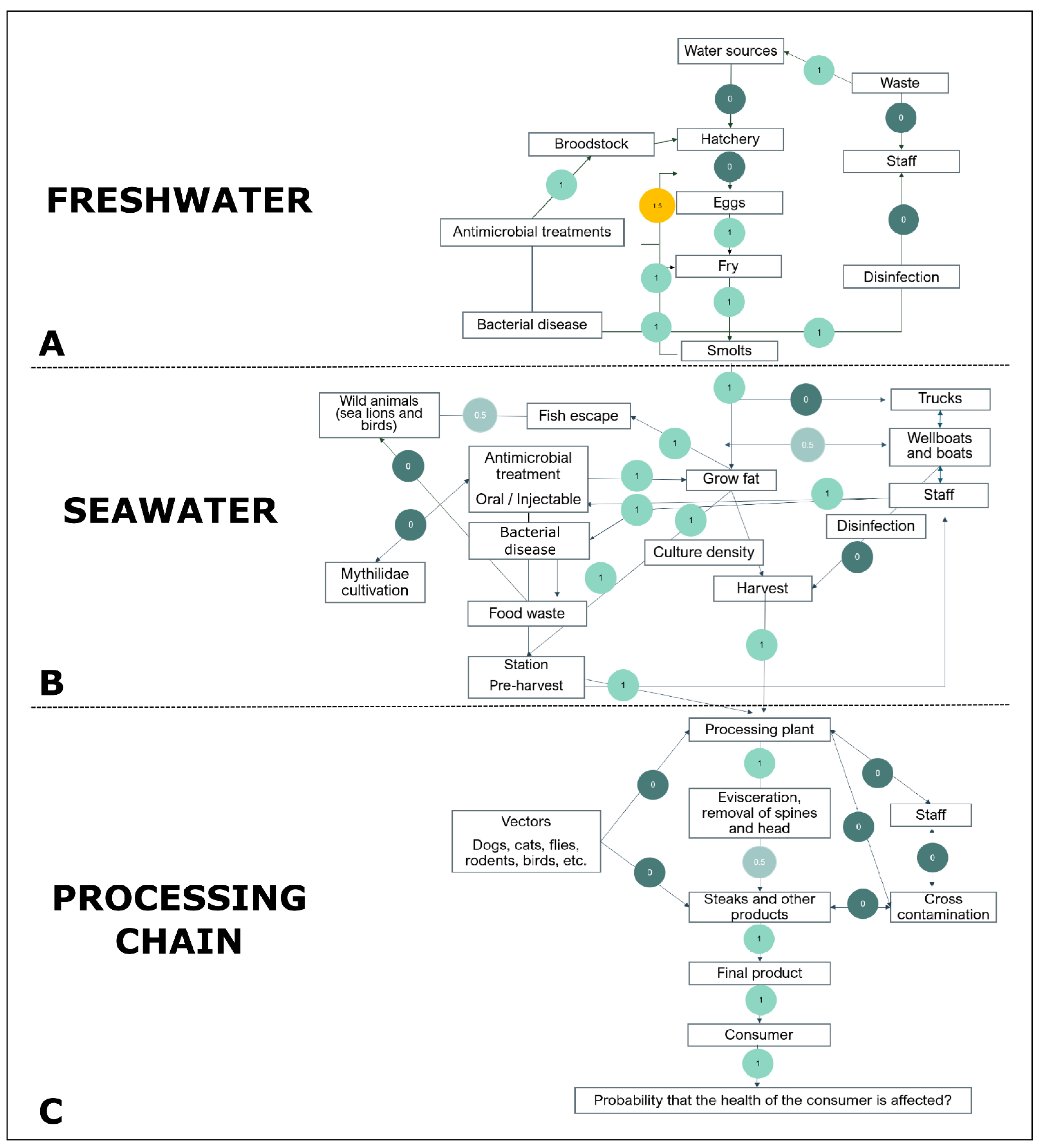 Antibiotics 11 00662 g002