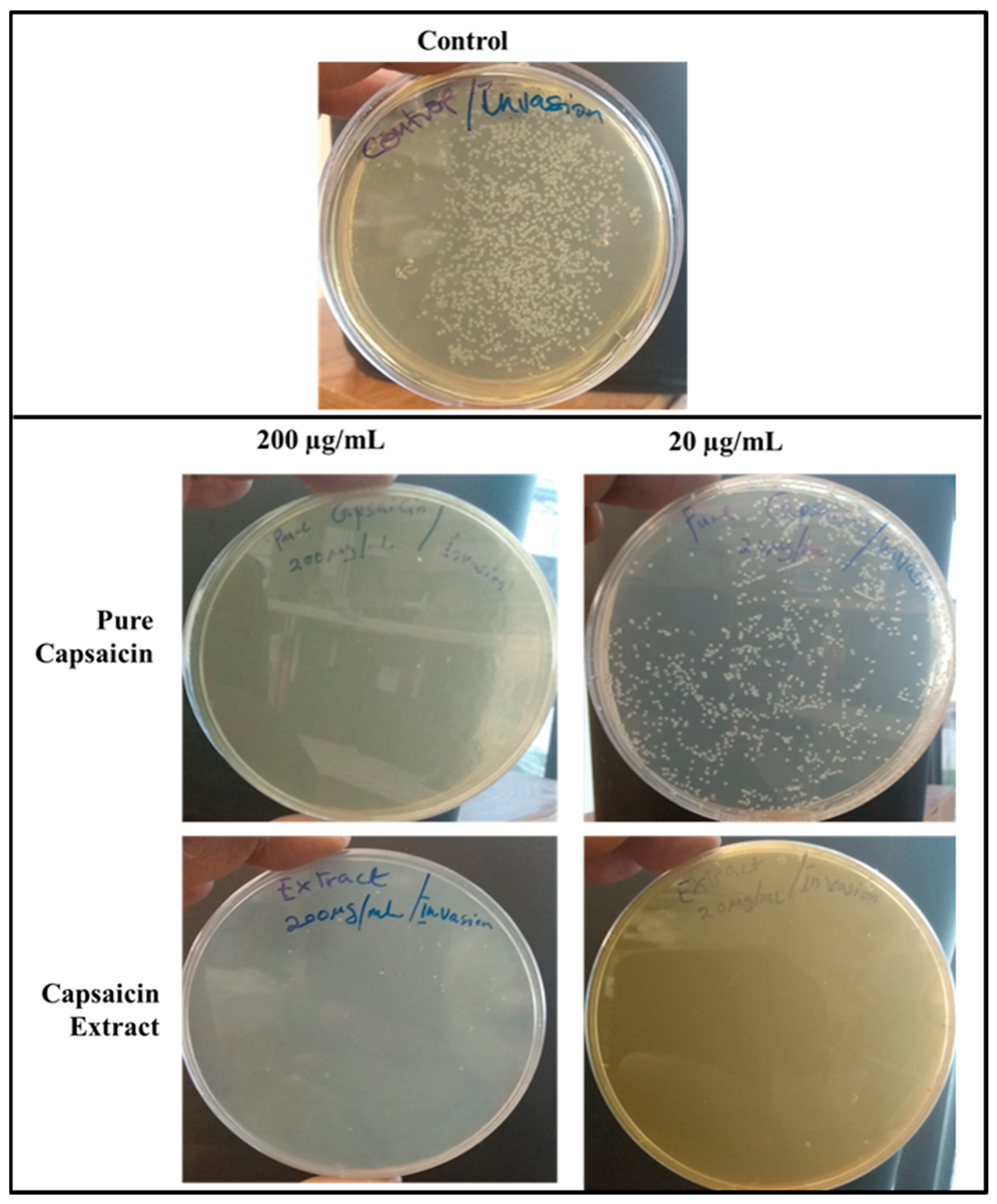 Antibiotics 11 00666 g009 Antibiotics 11 00666 g009