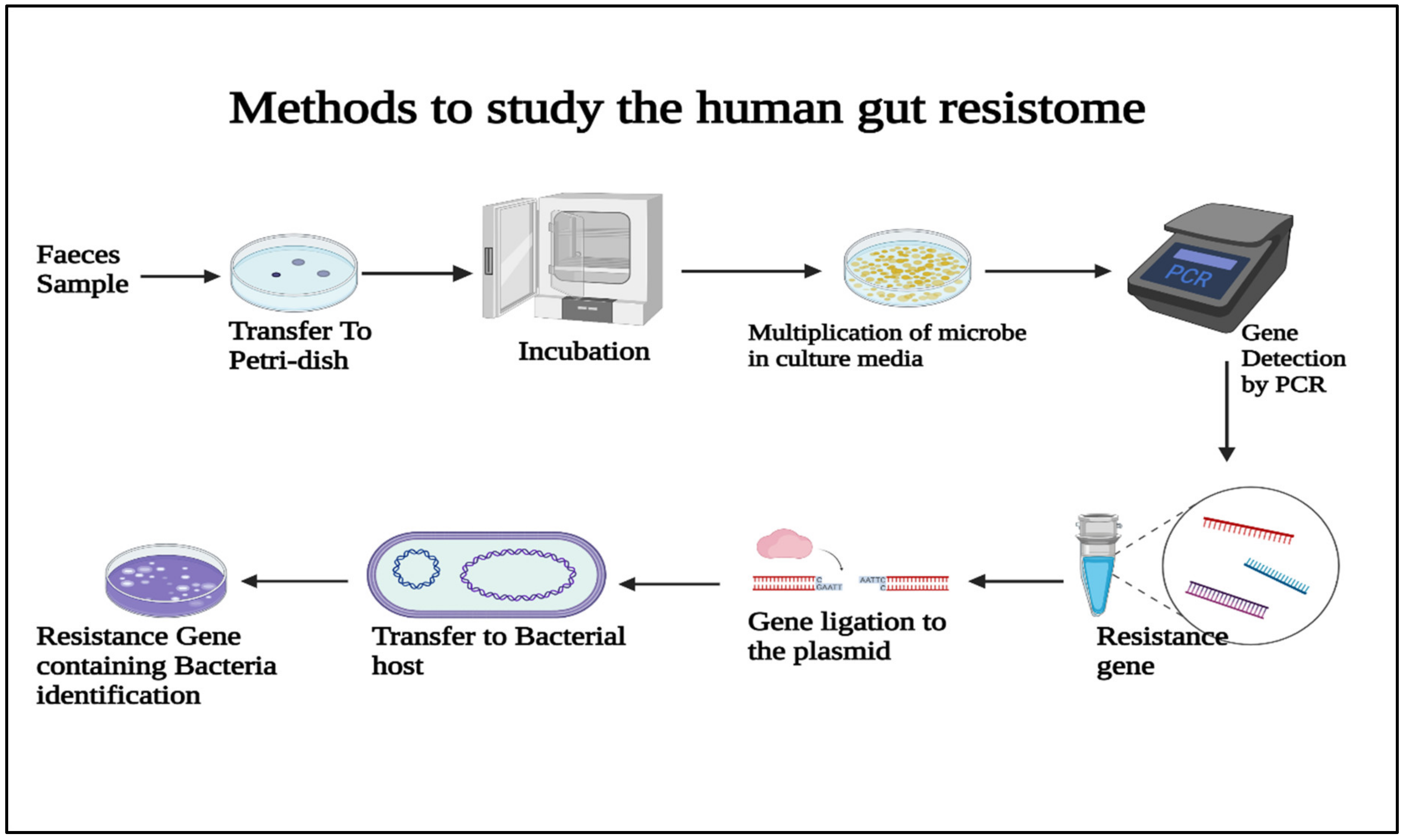 Antibiotics 11 00667 g002 Antibiotics 11 00667 g002