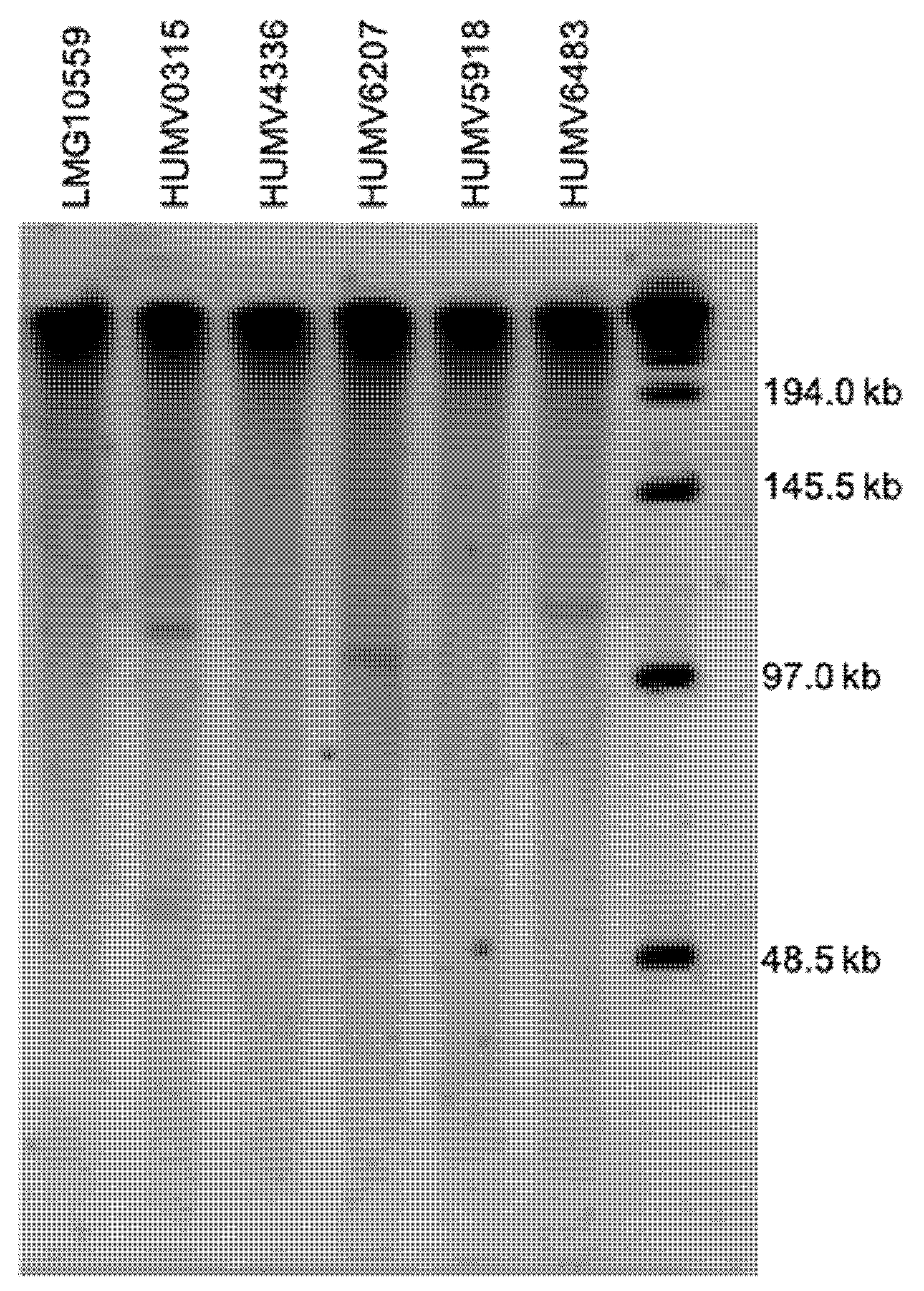 Antibiotics 11 00676 g003 Antibiotics 11 00676 g003