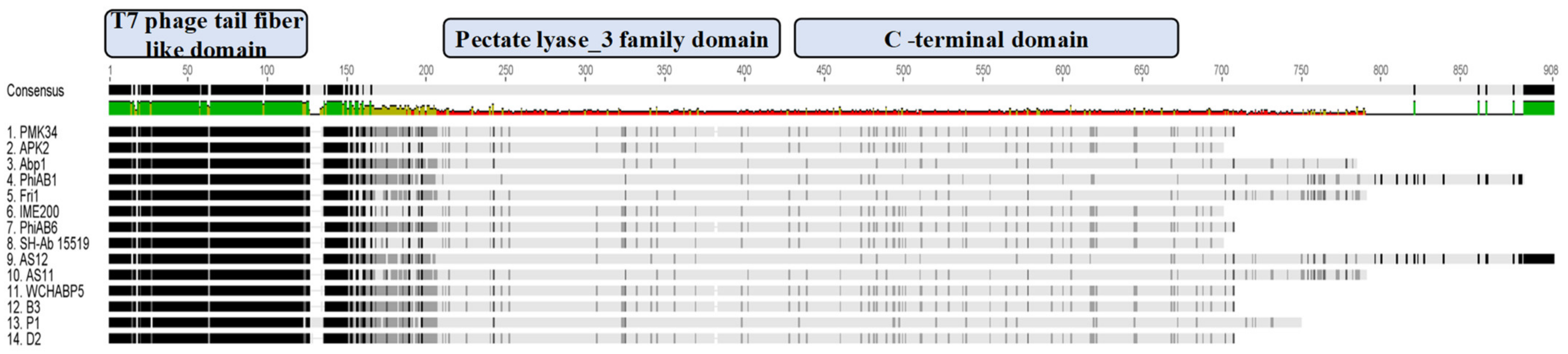 Antibiotics 11 00677 g002