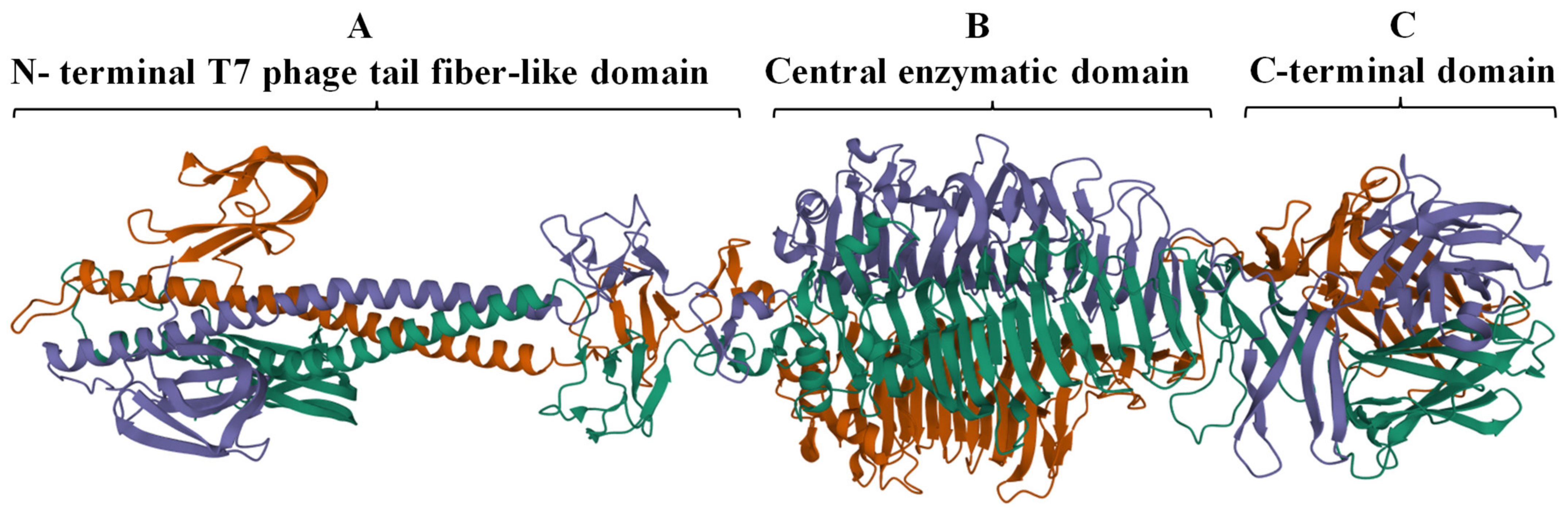 Antibiotics 11 00677 g003