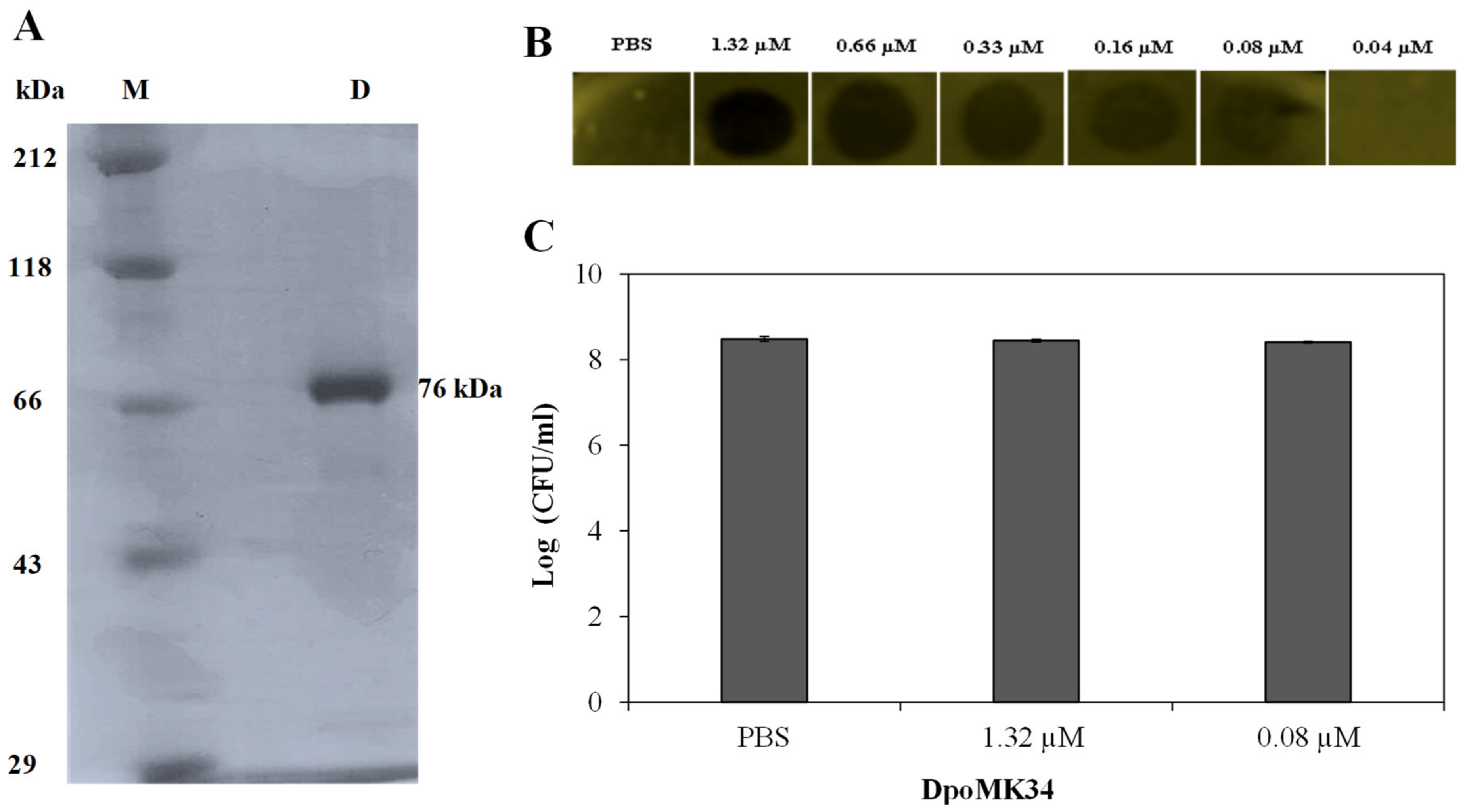 Antibiotics 11 00677 g006