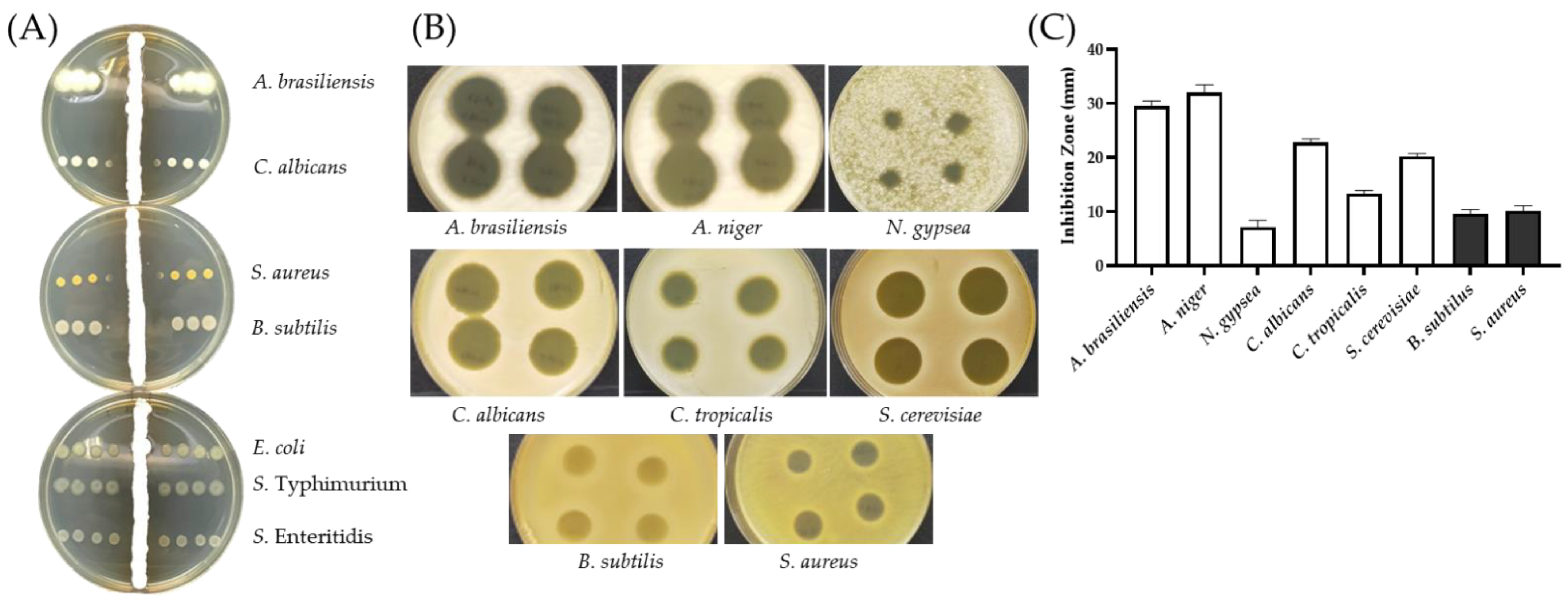 Antibiotics 11 00679 g004 Antibiotics 11 00679 g004