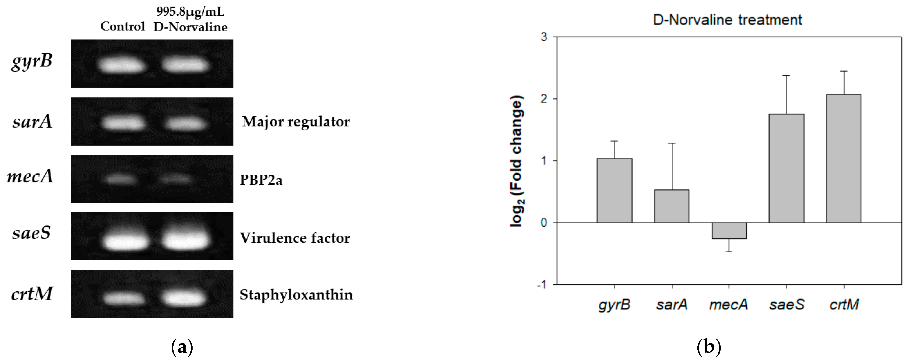 Antibiotics 11 00683 g005 Antibiotics 11 00683 g005