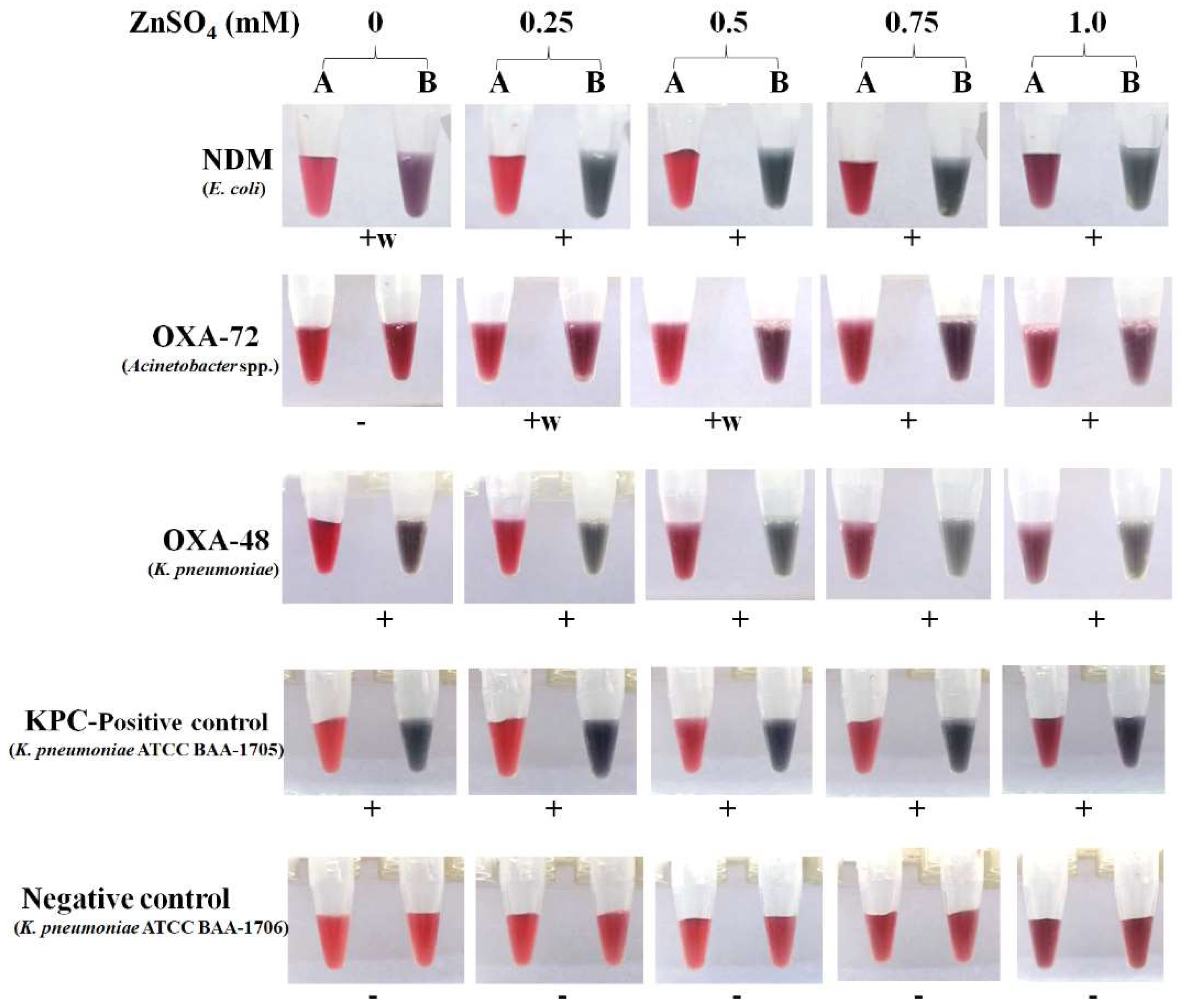 Antibiotics 11 00684 g001