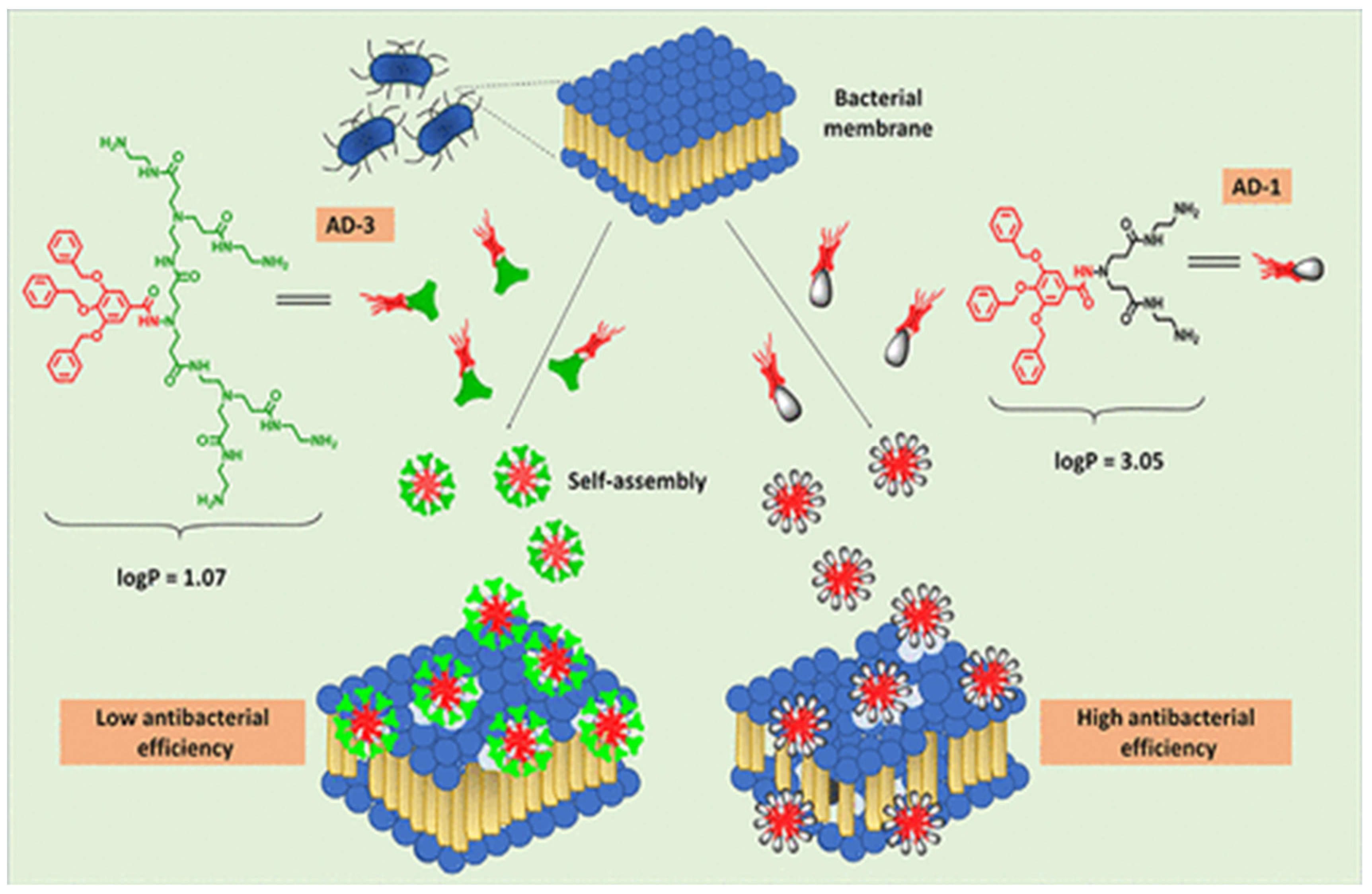 Antibiotics 11 00708 g006