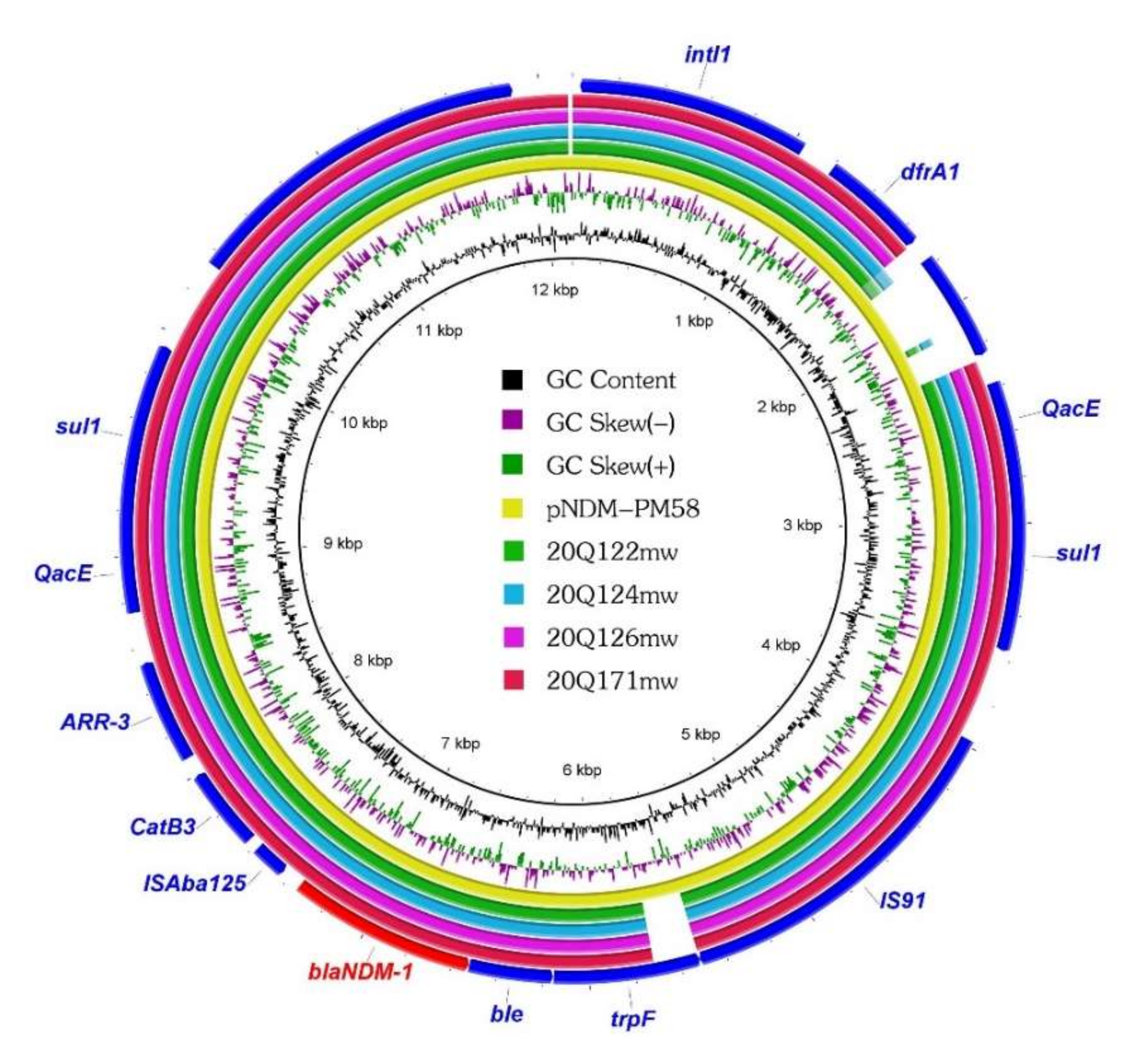 Antibiotics 11 00713 g002