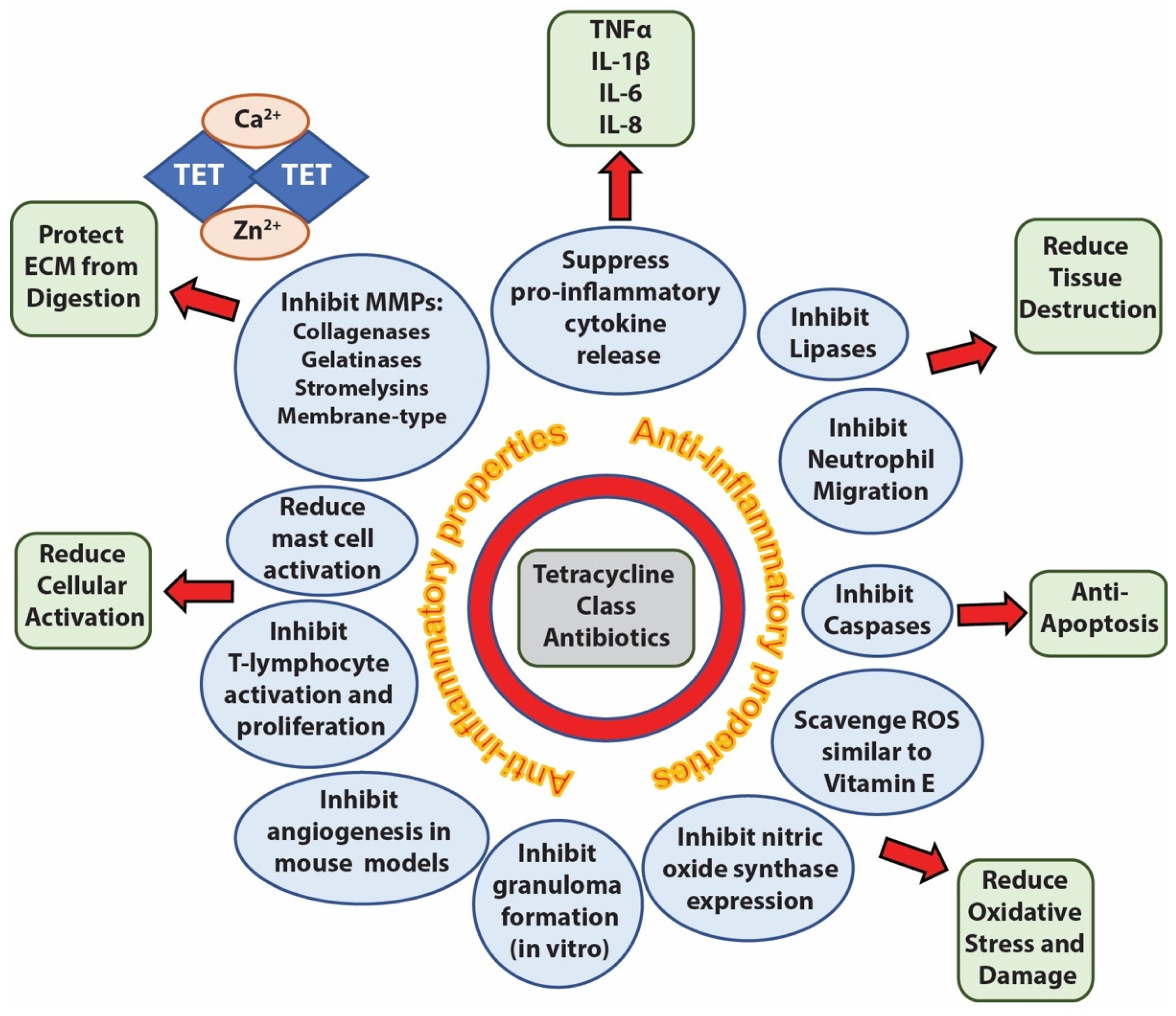Antibiotics 11 00722 g001