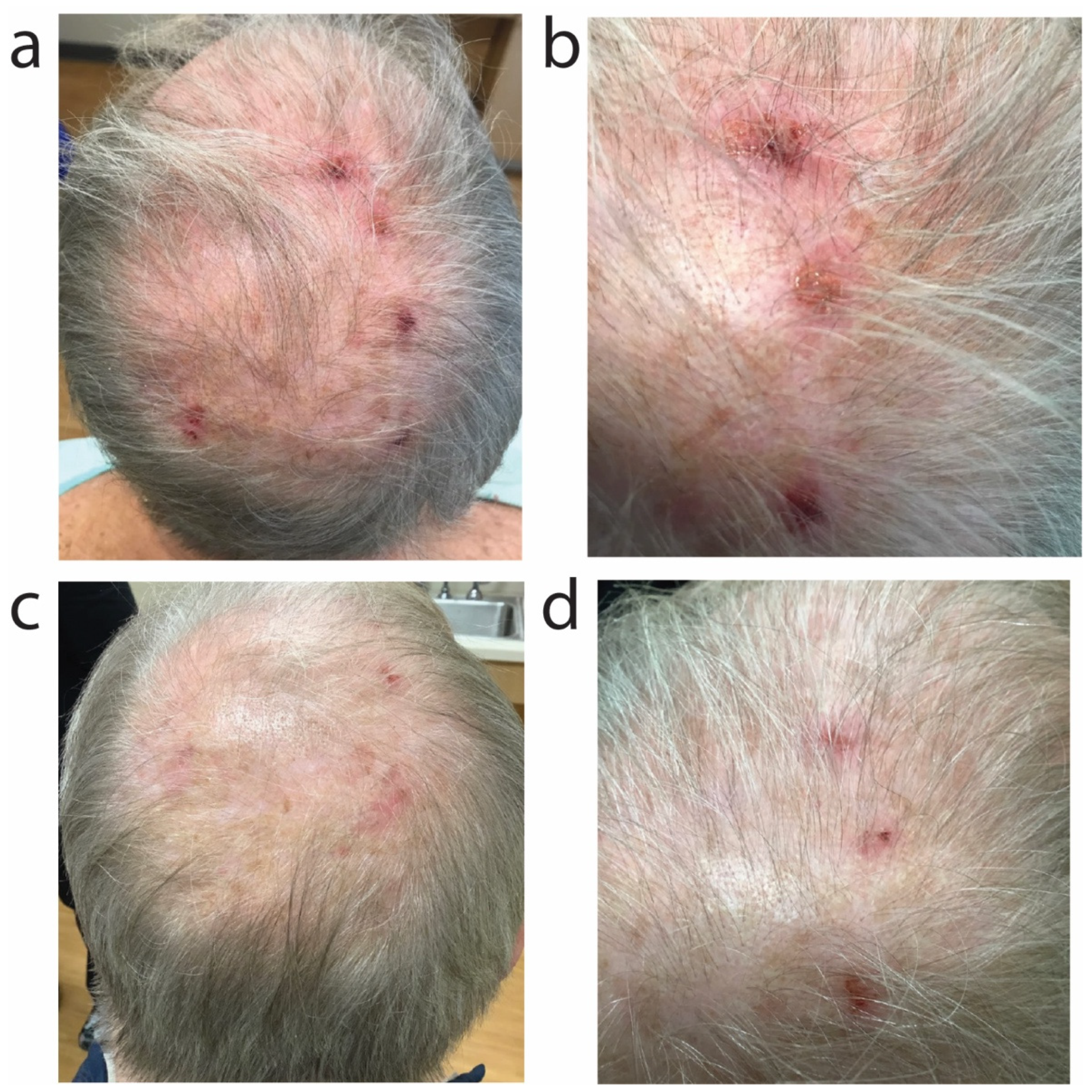 Antibiotics 11 00722 g003