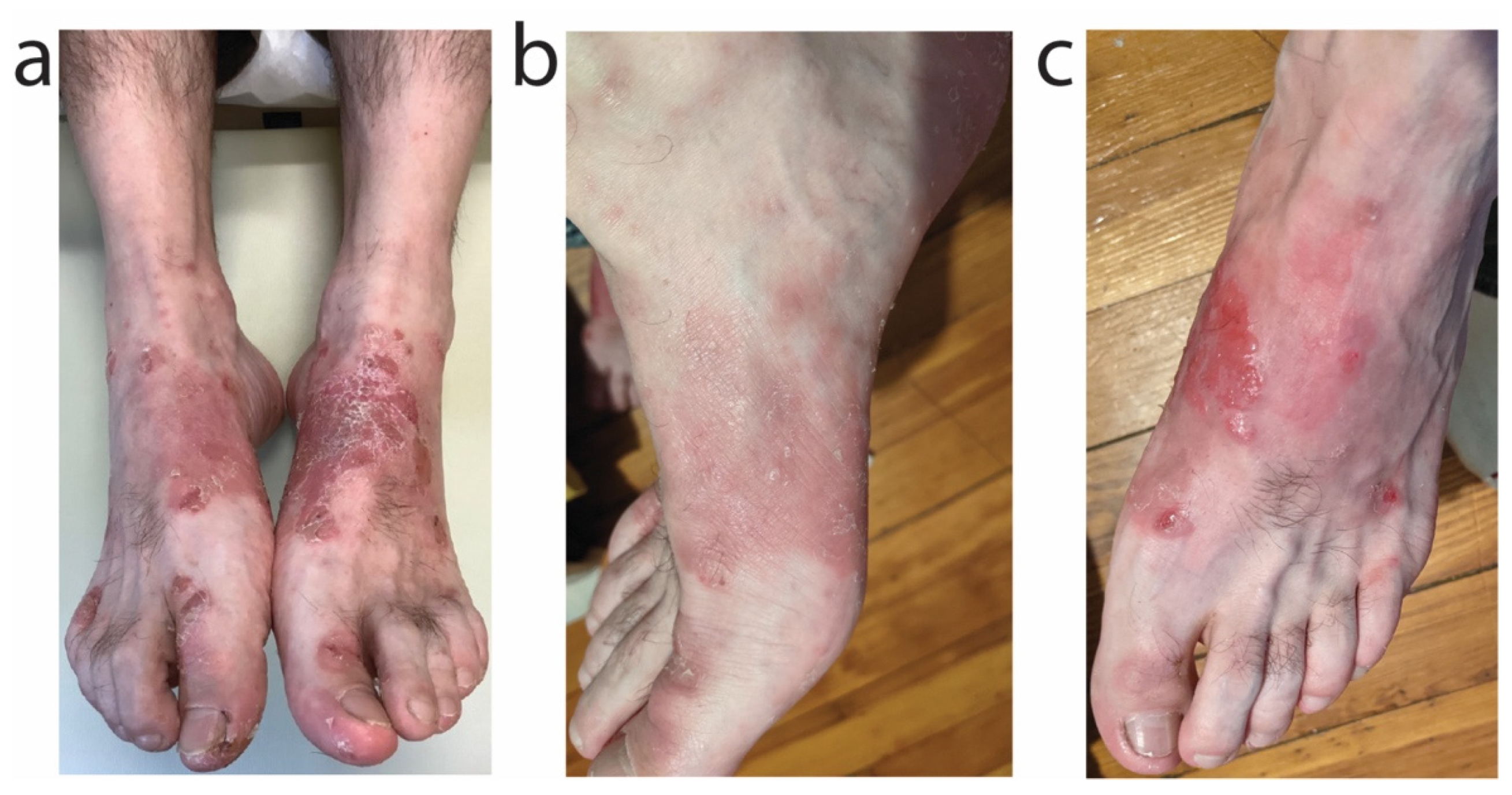 Antibiotics 11 00722 g005