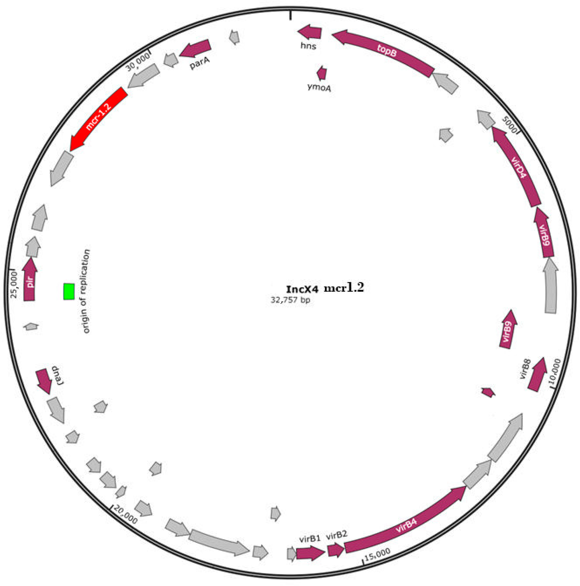 Antibiotics 11 00728 g002
