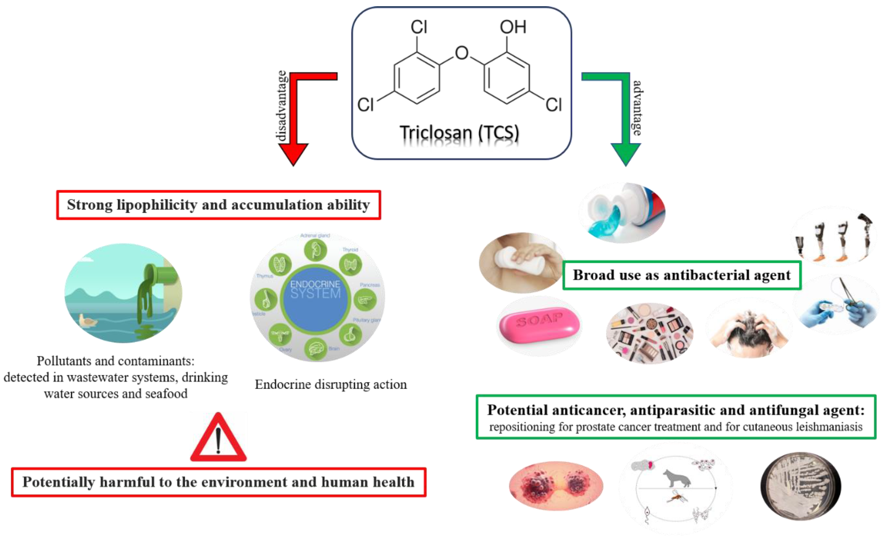 Antibiotics 11 00735 g002
