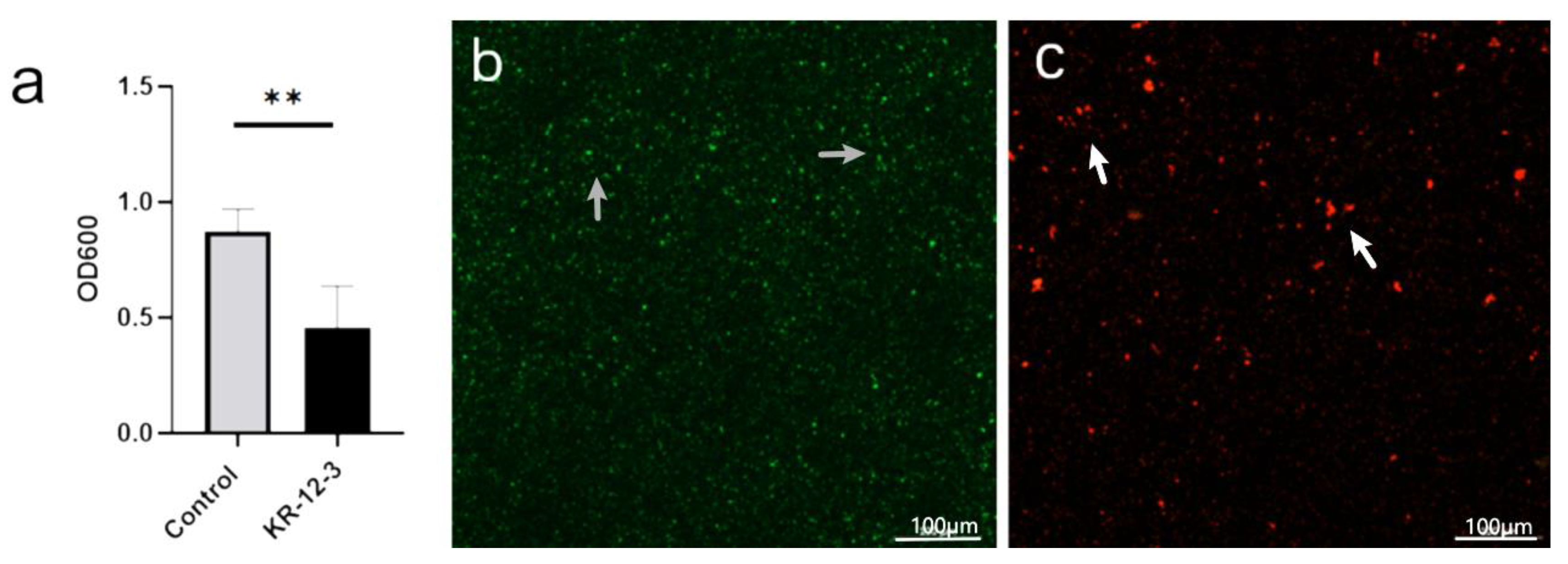 Antibiotics 11 00754 g002