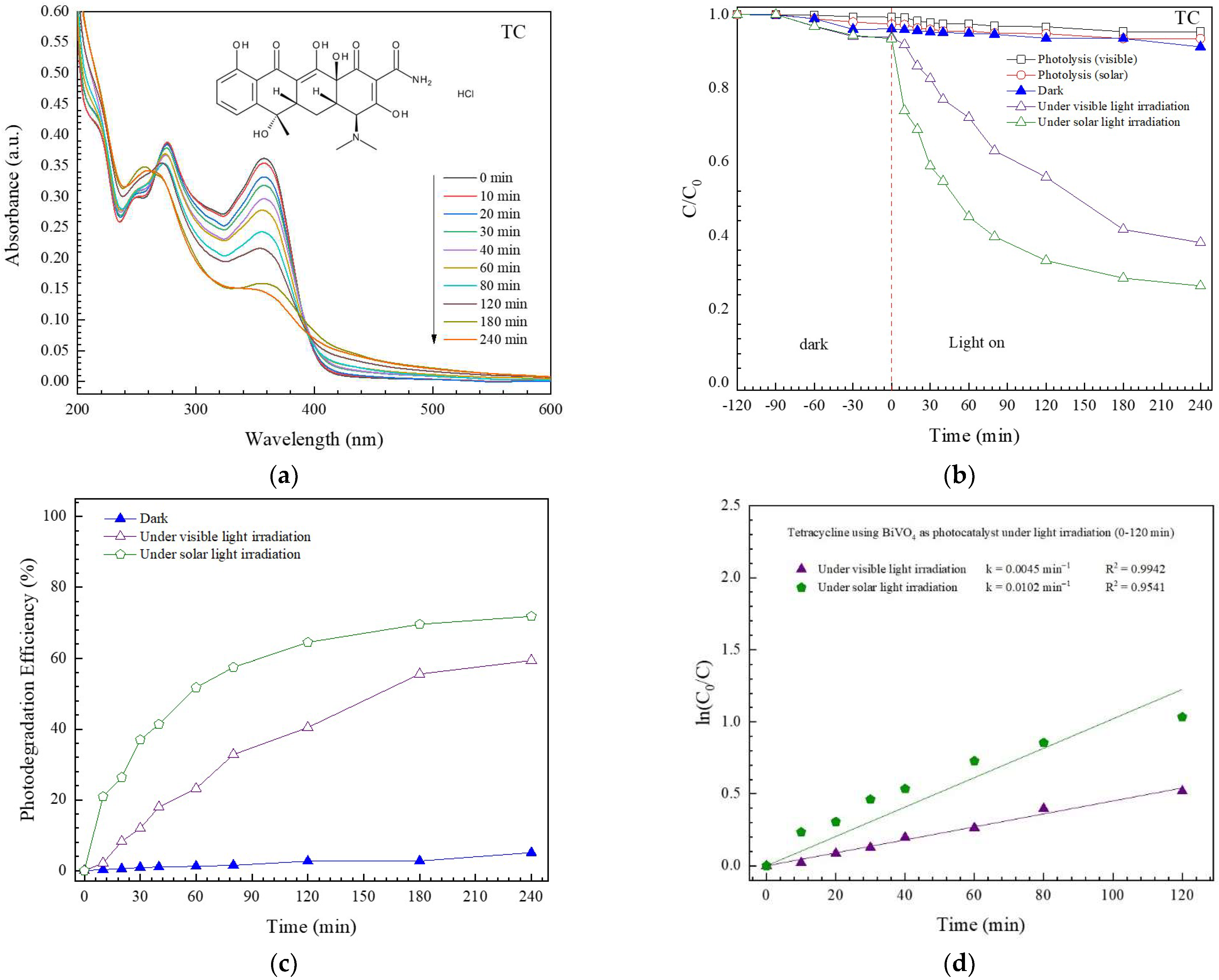 Antibiotics 11 00761 g008