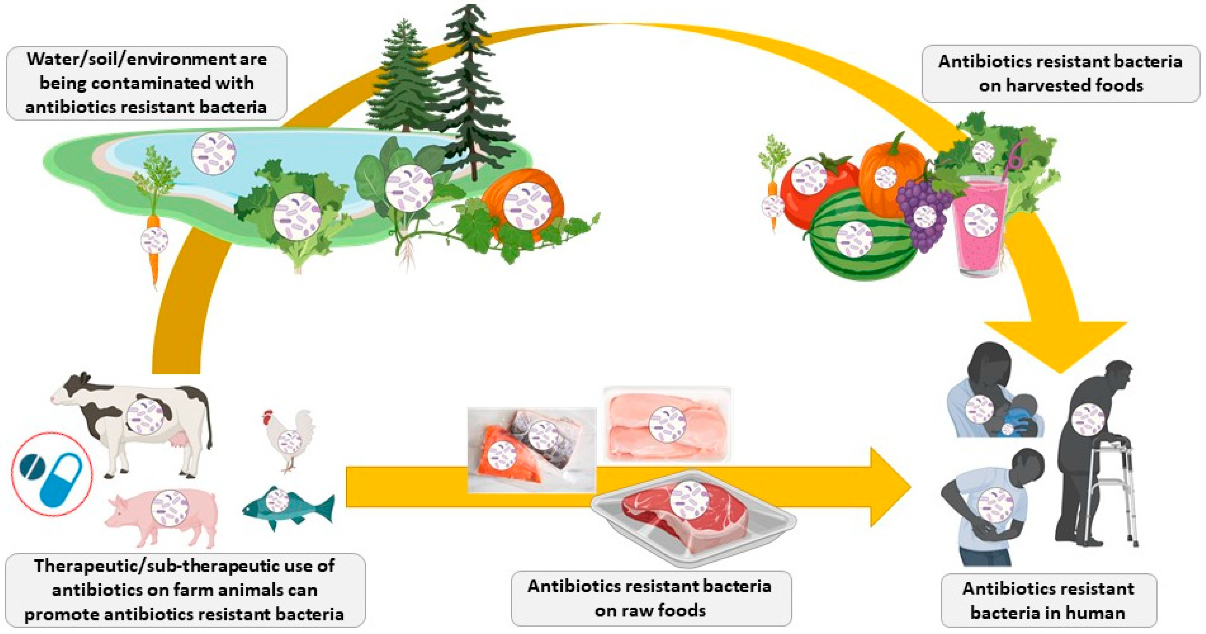 Antibiotics 11 00766 g001