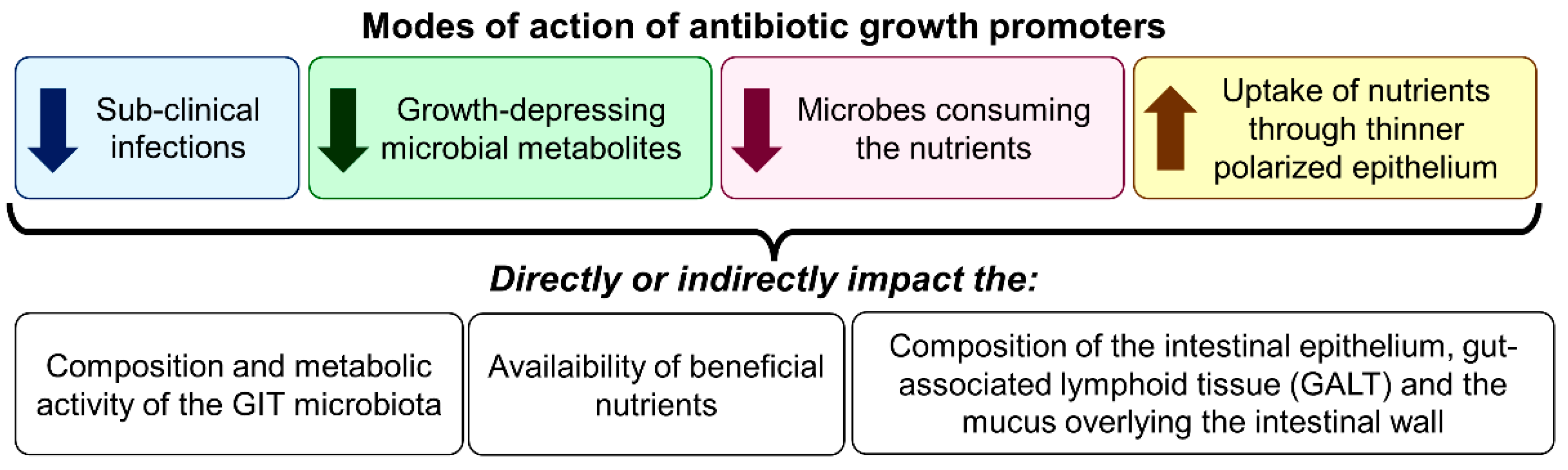 Antibiotics 11 00766 g002