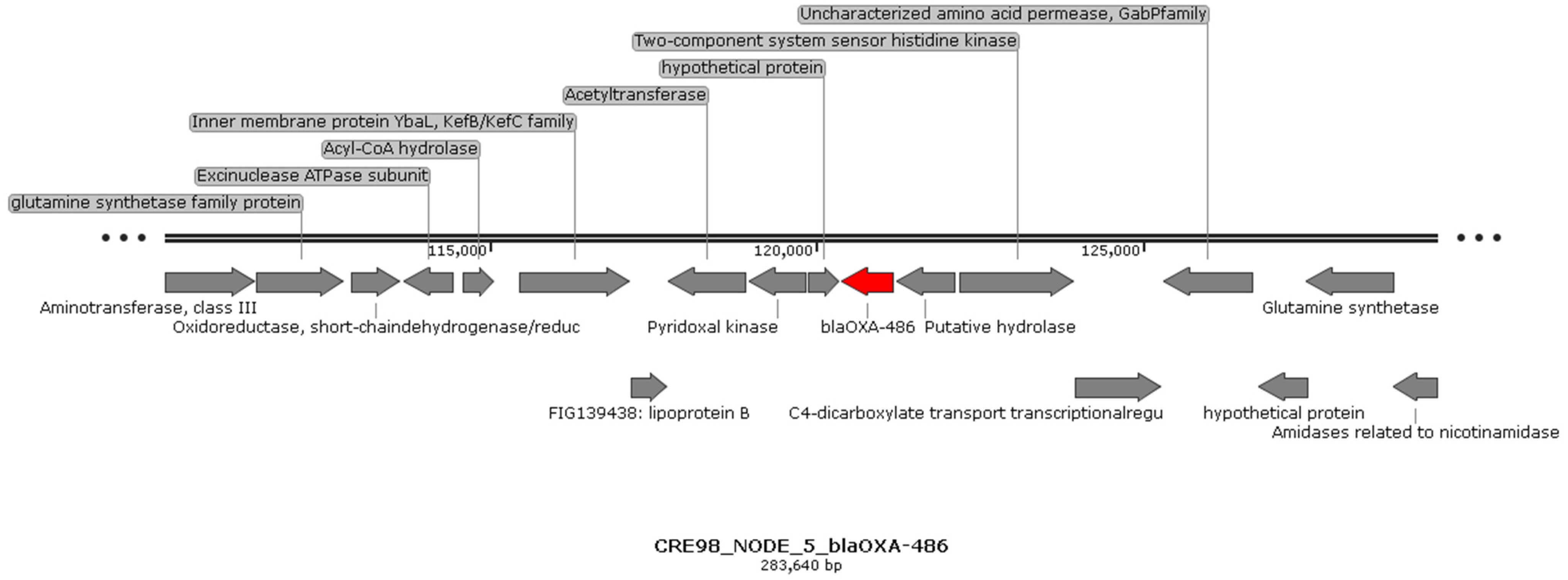 Antibiotics 11 00777 g002