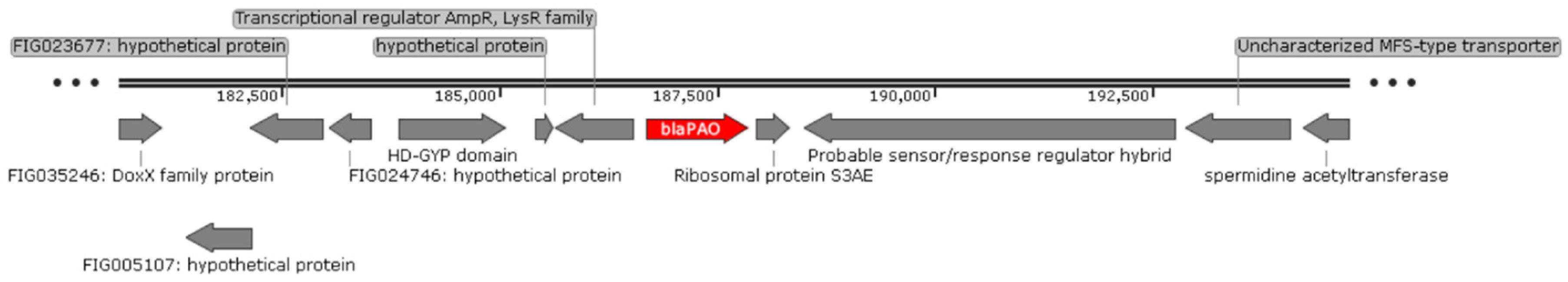 Antibiotics 11 00777 g003