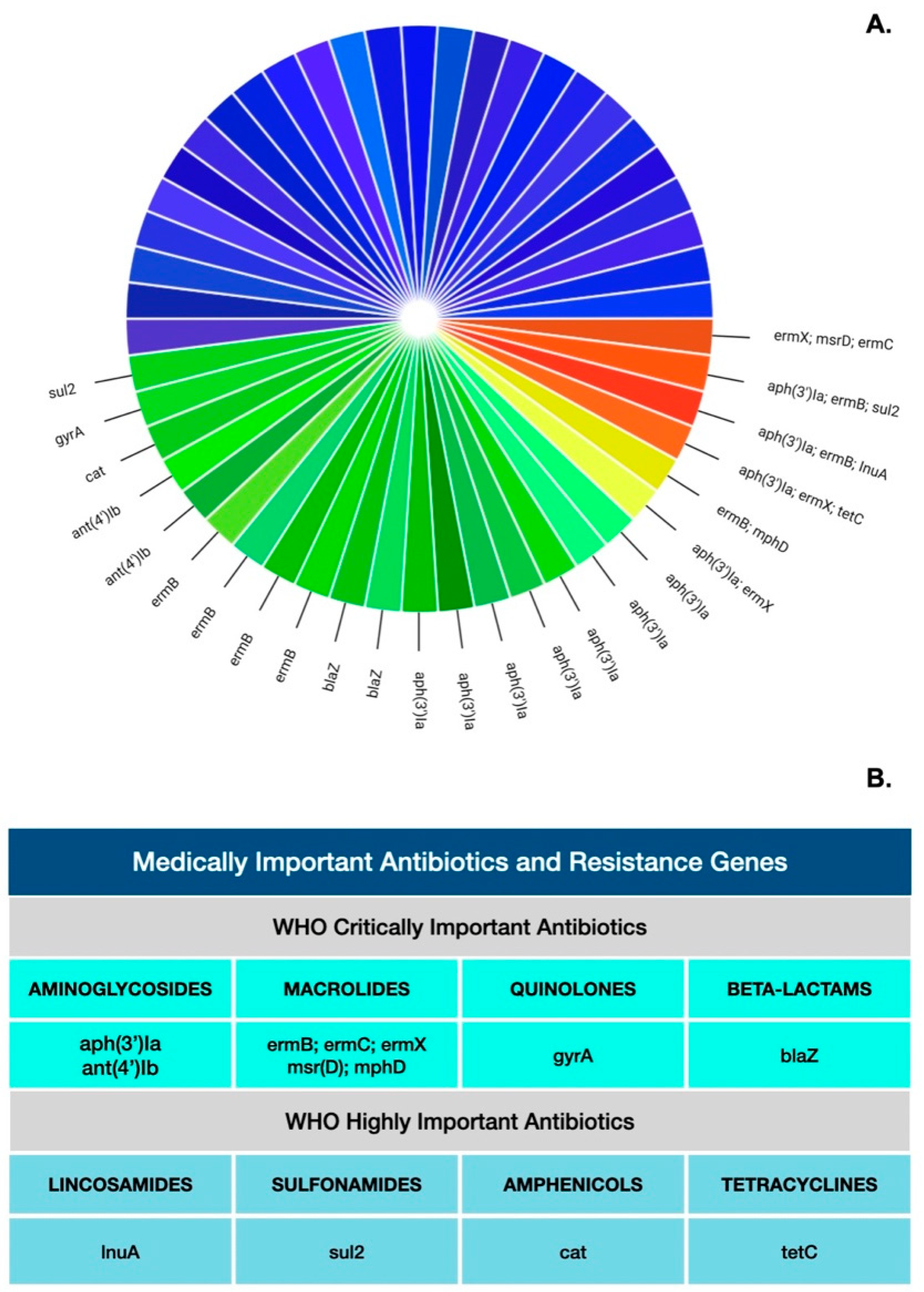Antibiotics 11 00780 g001