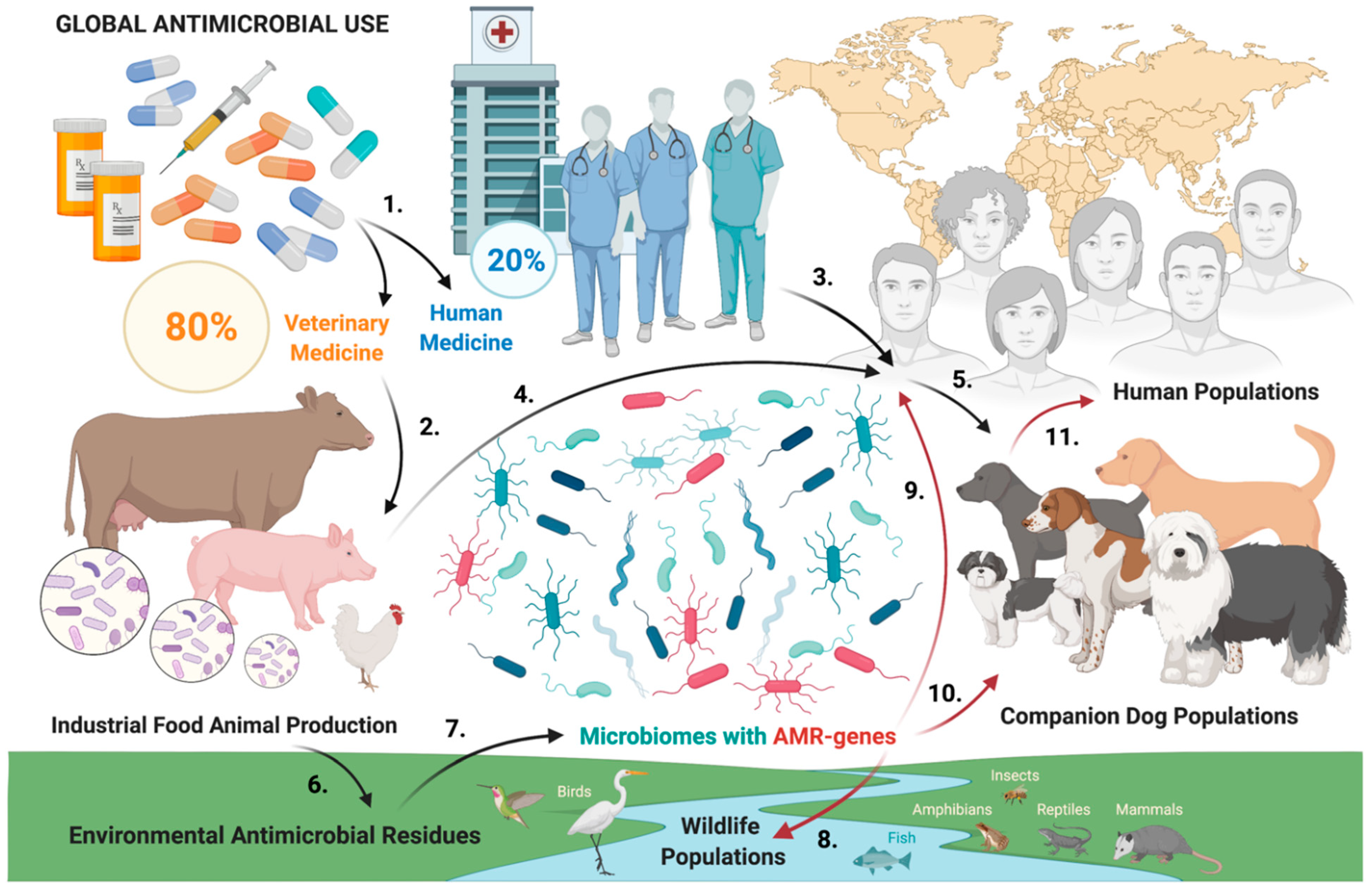 Antibiotics 11 00780 g002