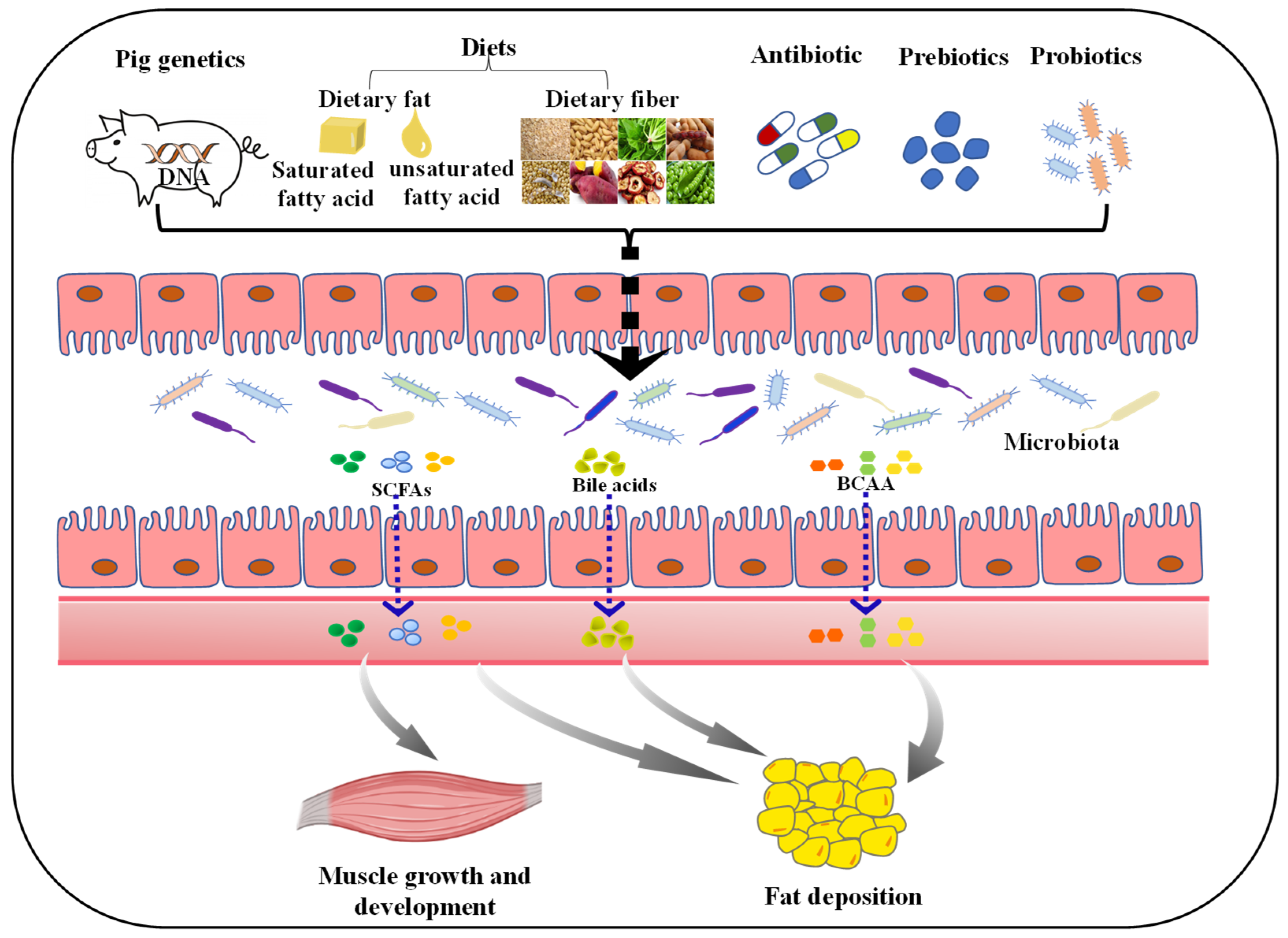 Antibiotics 11 00793 g002