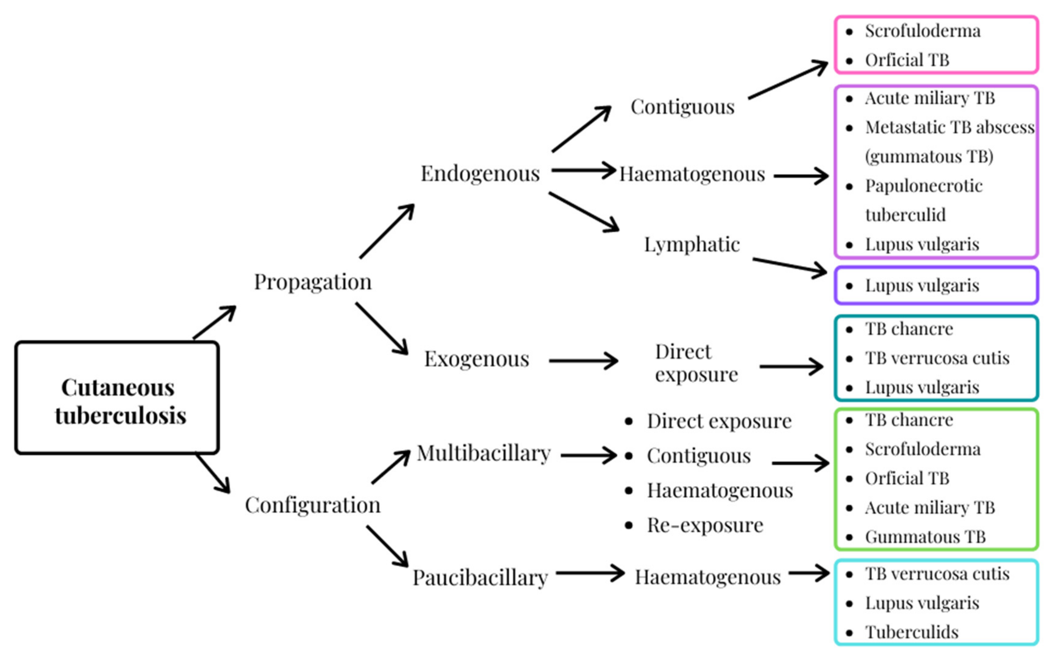 Antibiotics 11 00806 g003