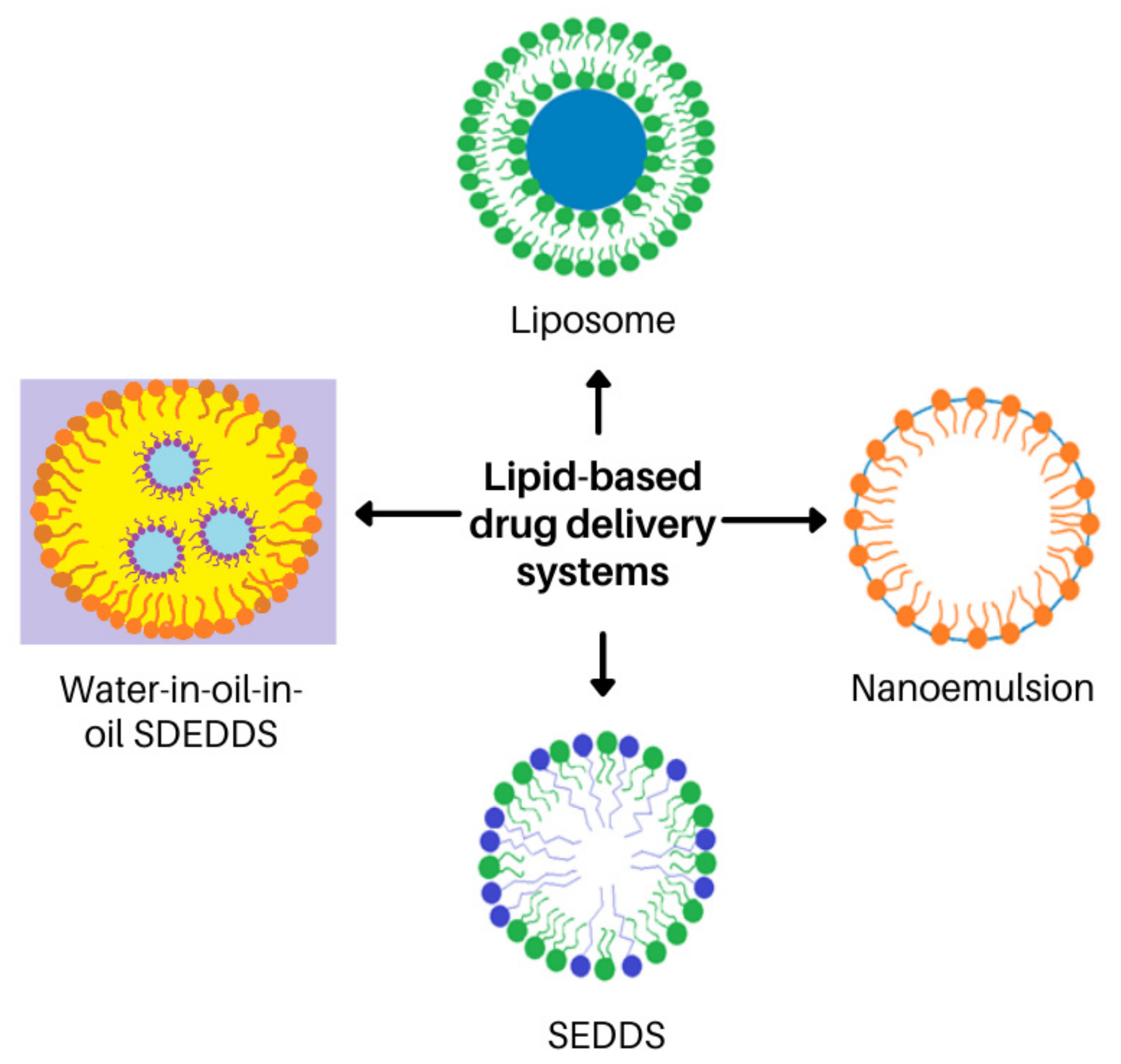 Antibiotics 11 00806 g005